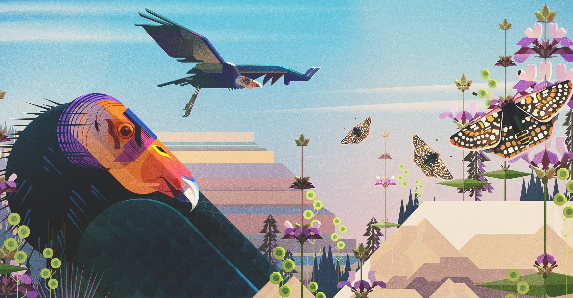 Condor and butterflies in a stylized landscape HD Wallpaper