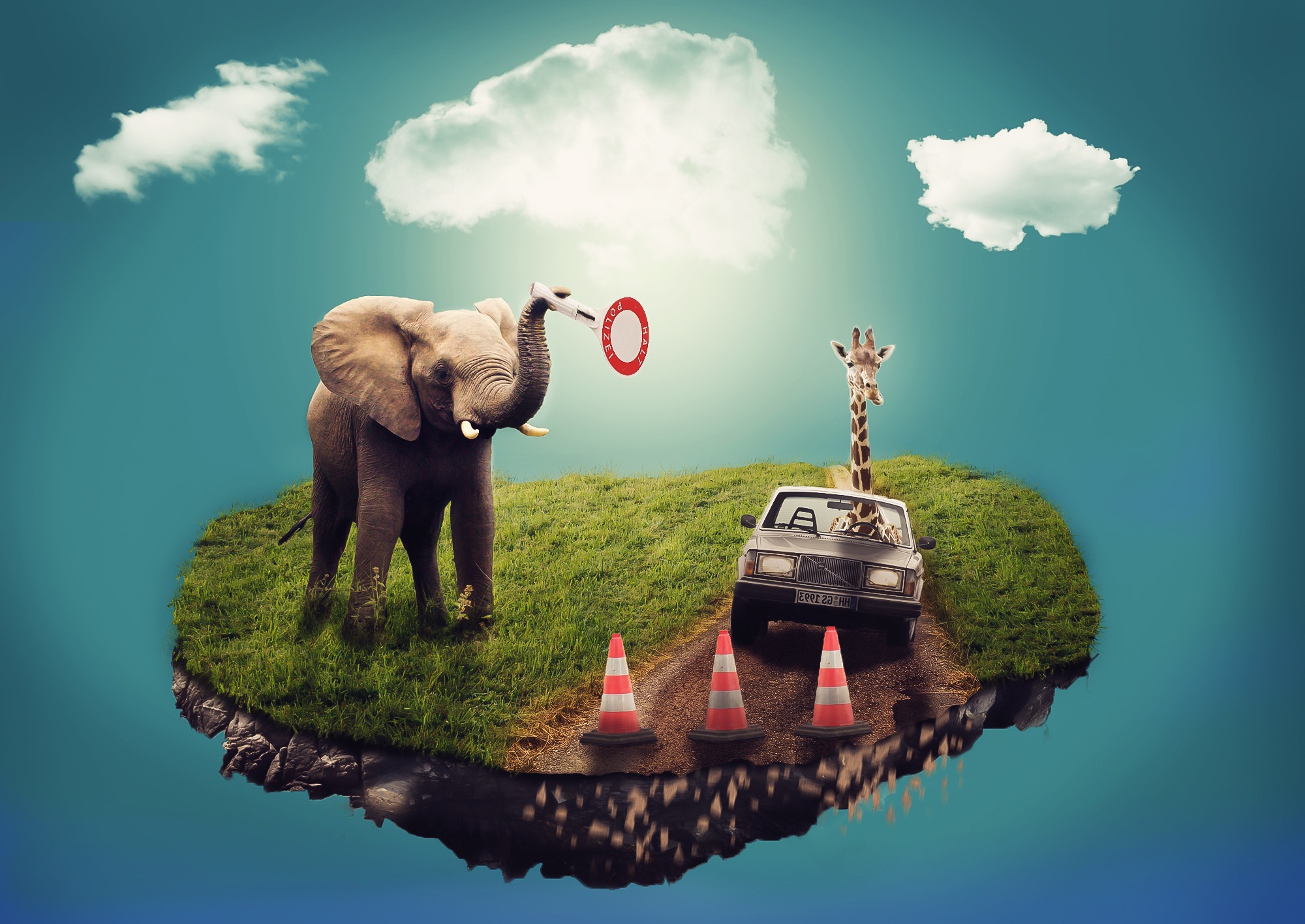 Elephant and Giraffe on a floating island HD Wallpaper