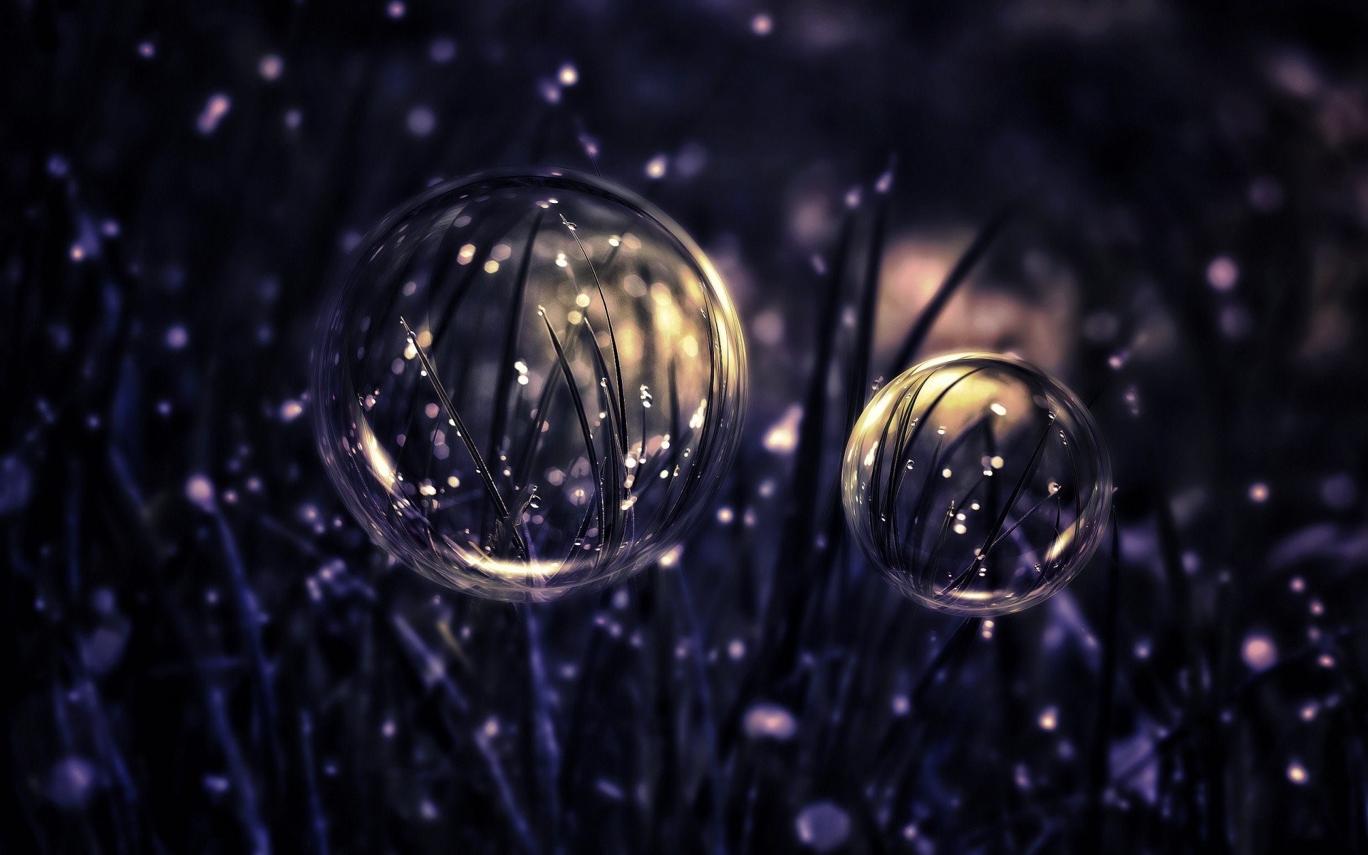 Bubbles with grass and water drops HD Wallpaper