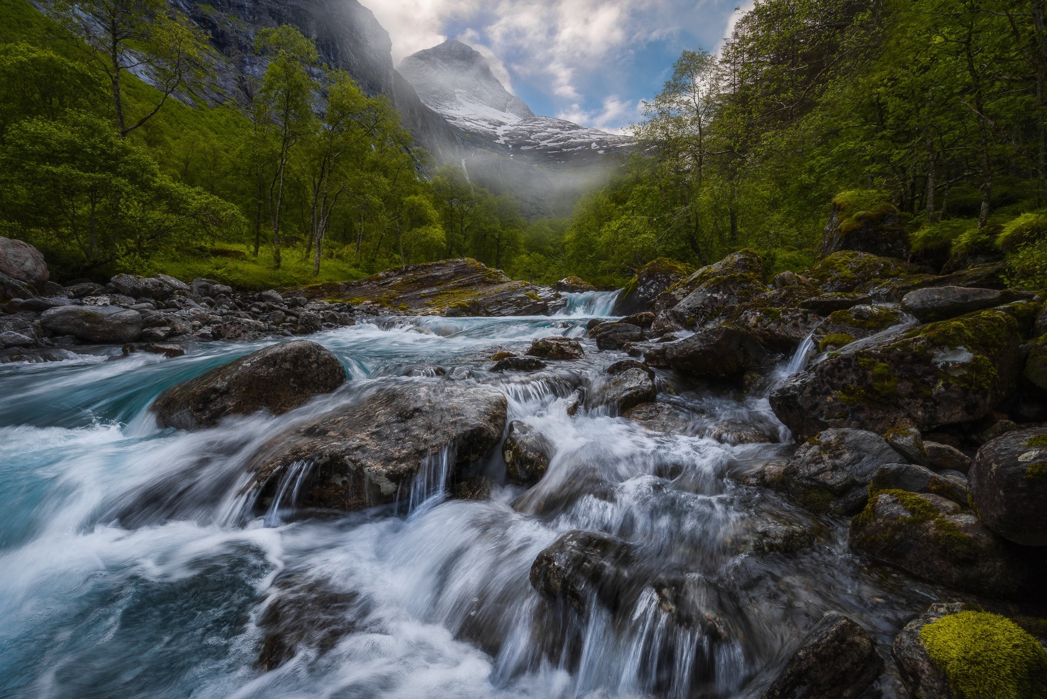 Mountain river flowing through a forest with snow-capped peaks HD Wallpaper