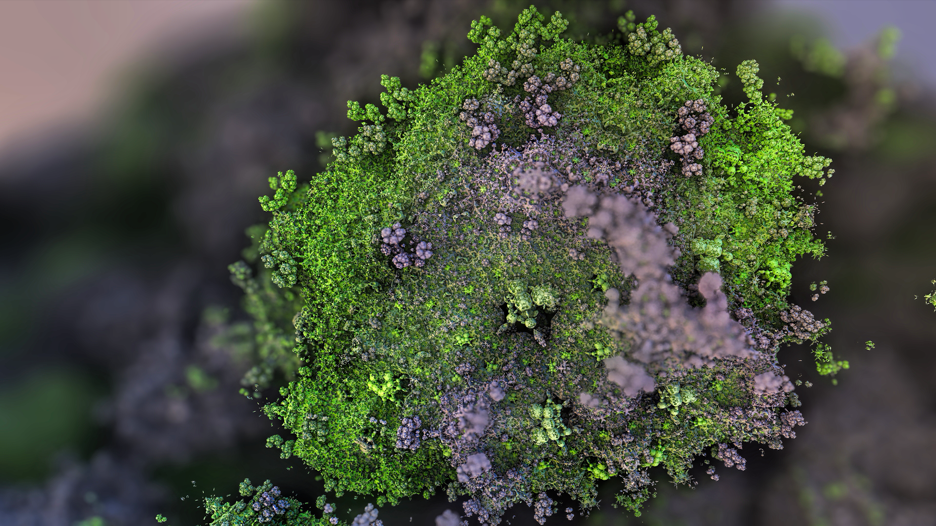 Abstract fractal with green and purple structures HD Wallpaper
