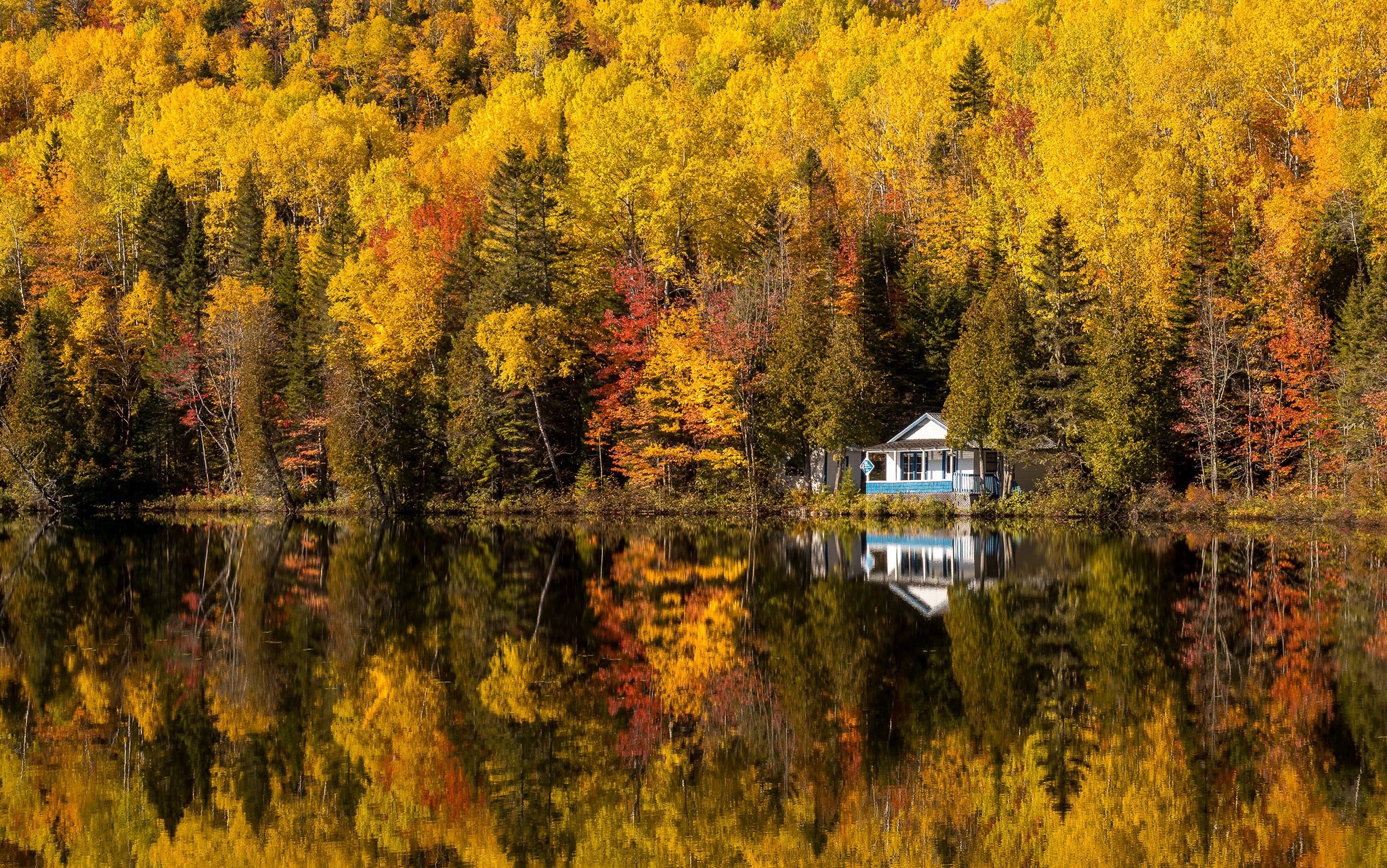 House by a lake with autumn trees reflection HD Wallpaper