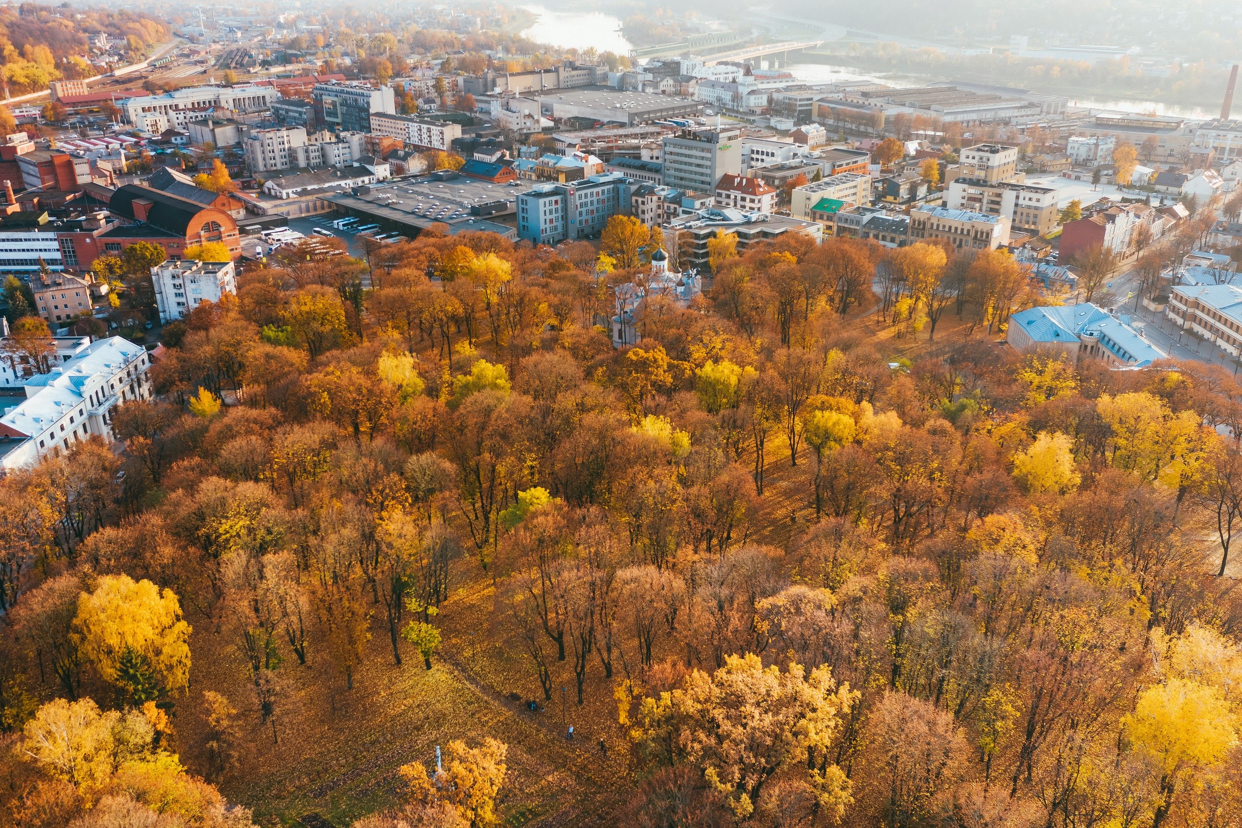Aerial view of a city park in fall HD Wallpaper