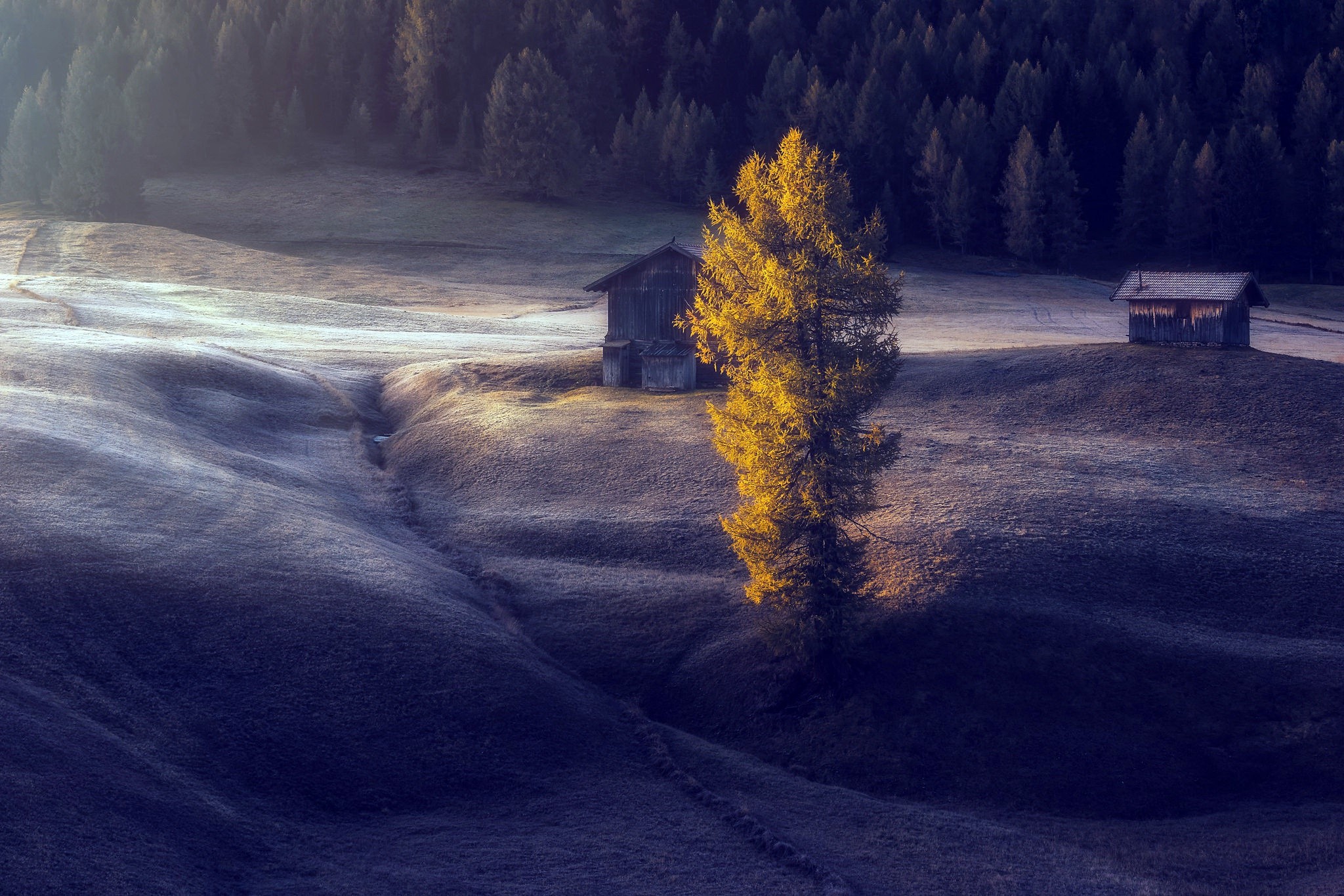 Misty morning landscape with cabins and trees HD Wallpaper