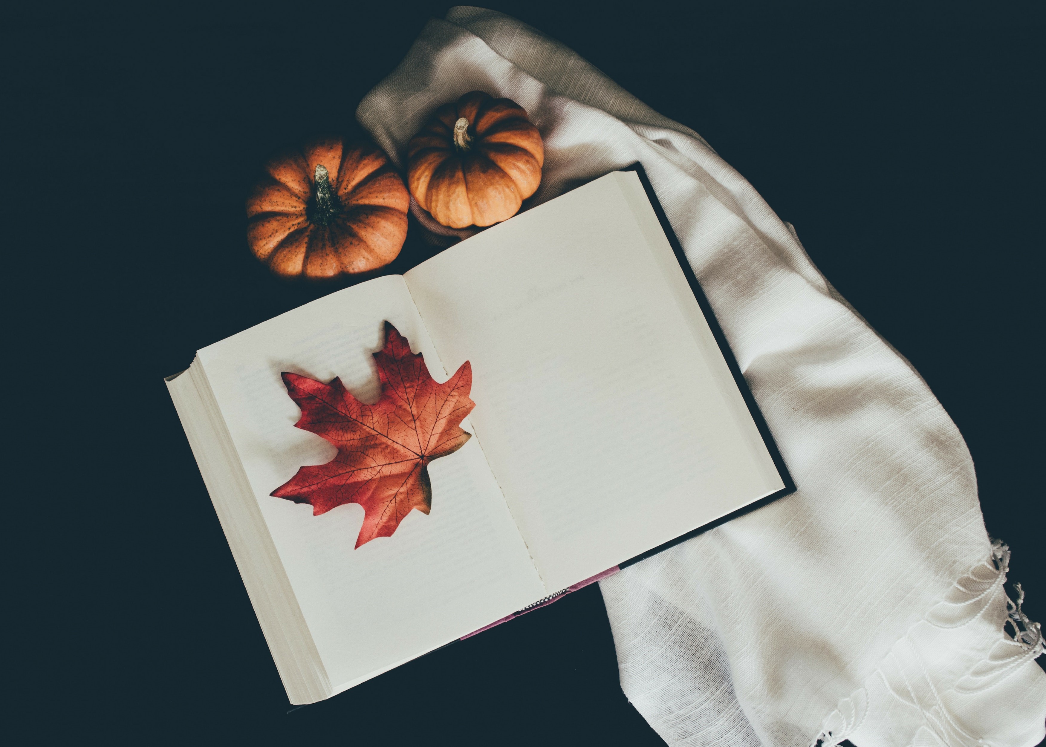 Open book with autumn leaf and pumpkins HD Wallpaper