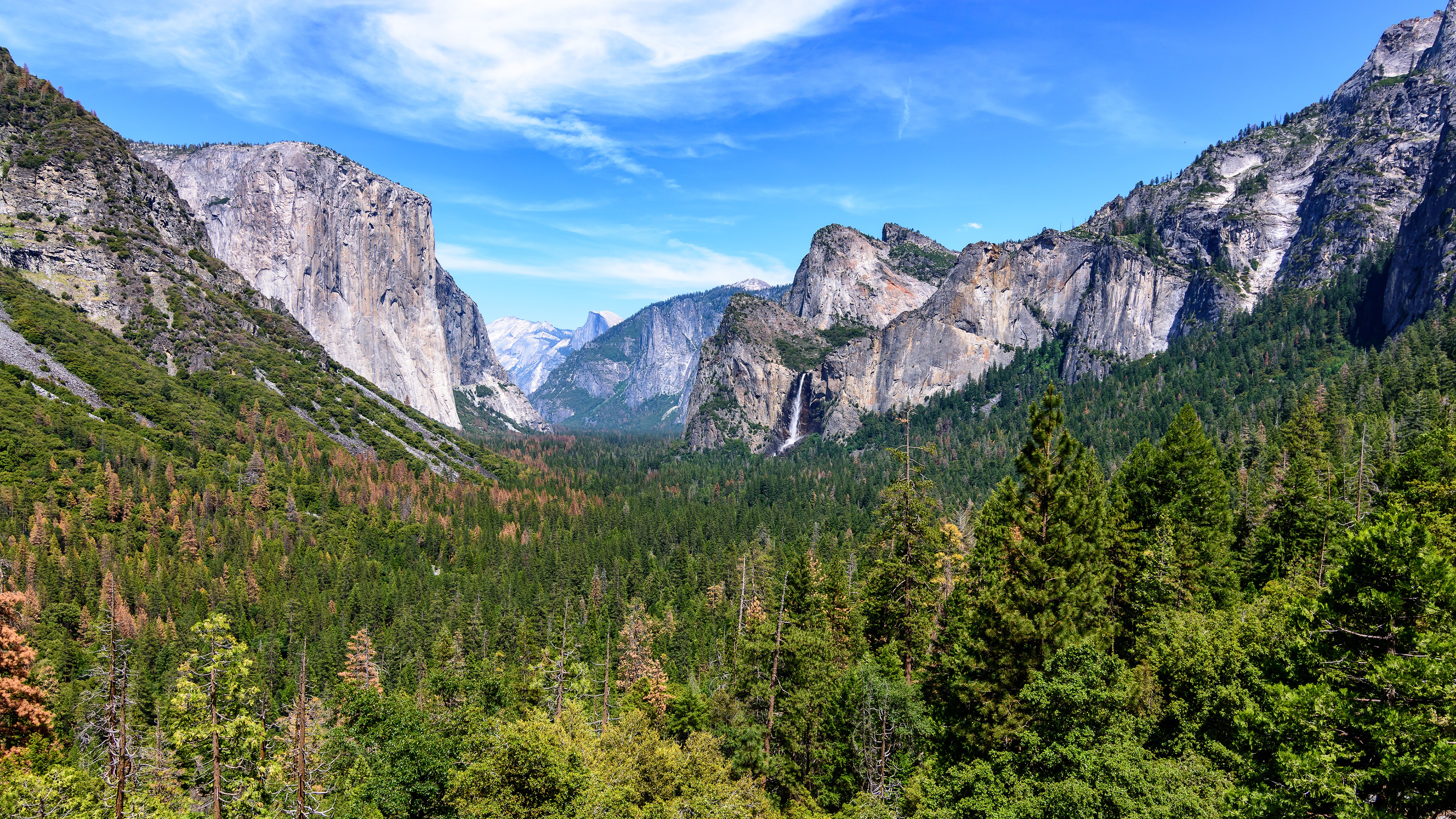 Yosemite Valley landscape with mountains and forest HD Wallpaper