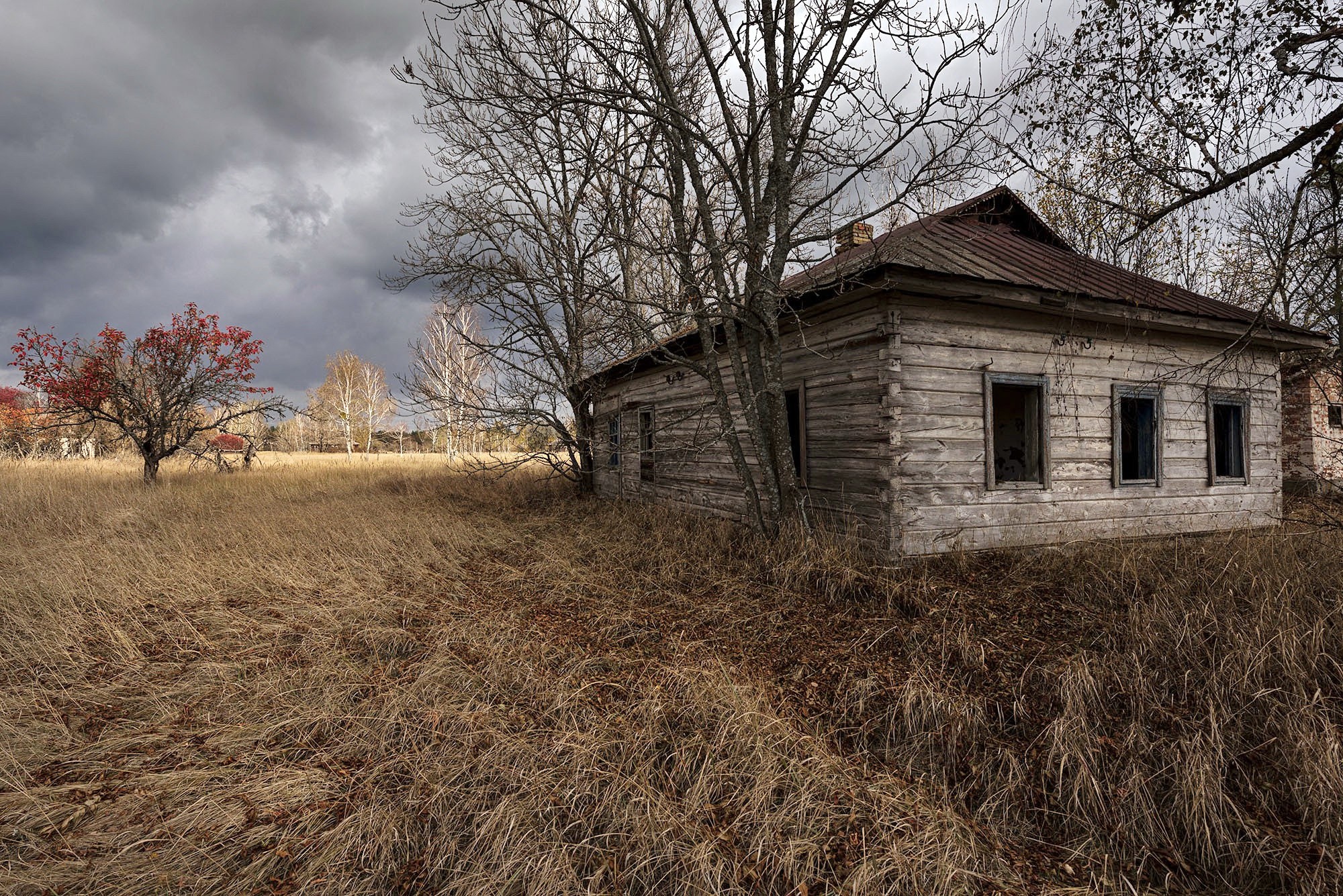 Abandoned wooden house in a dry field under a cloudy sky HD Wallpaper