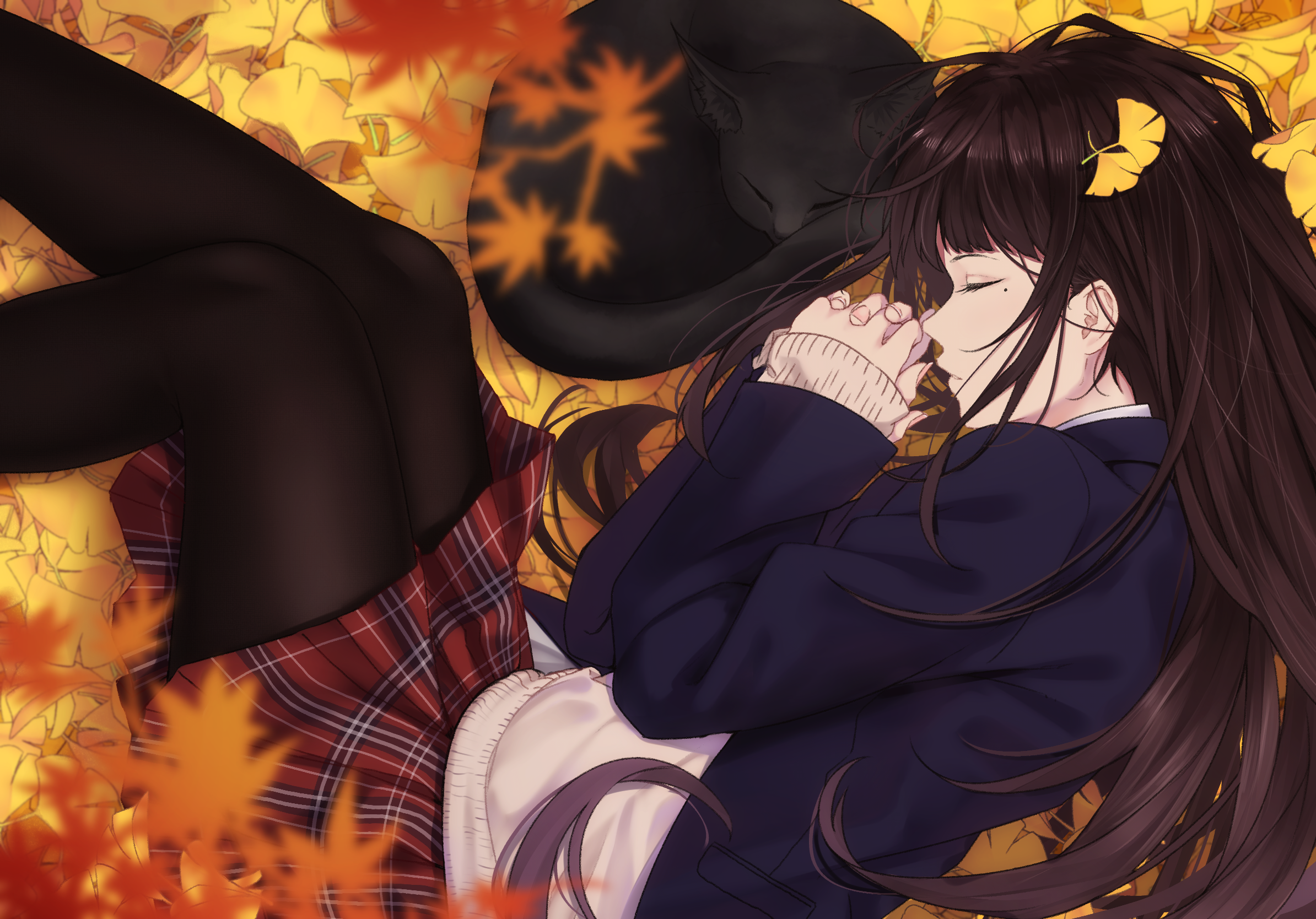 Anime girl sleeping with cat among fallen leaves HD Wallpaper
