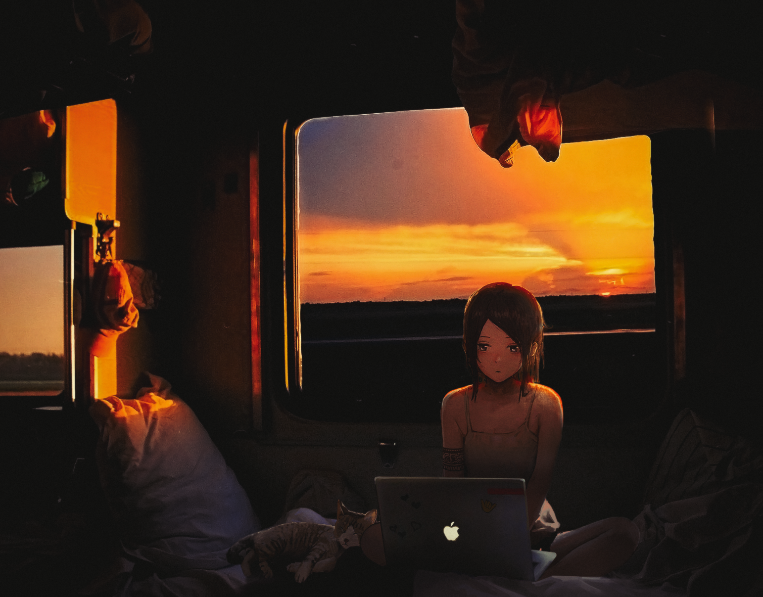 Anime girl with laptop and cat on train at sunset HD Wallpaper
