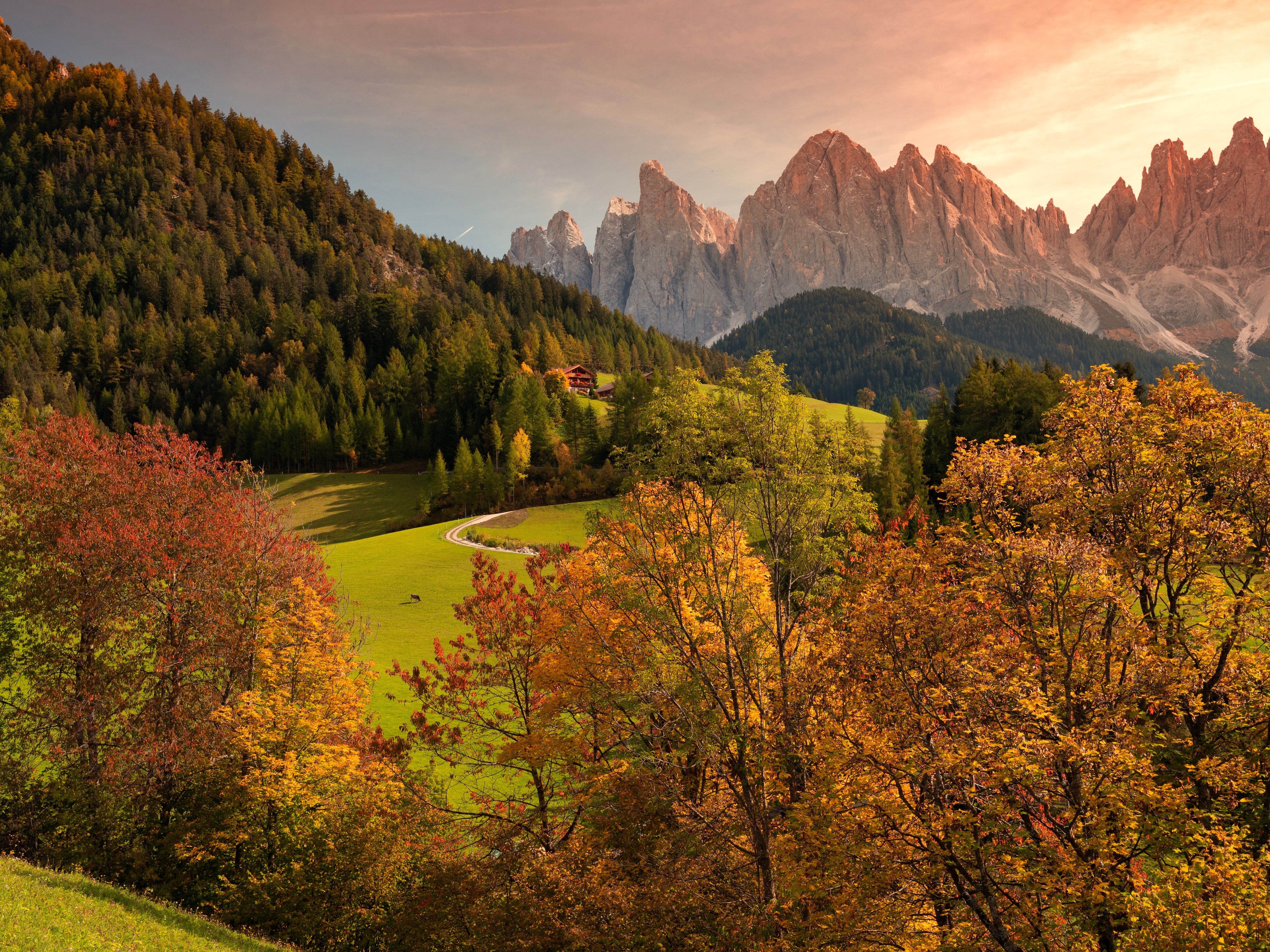 4K Autumn Mountain Landscape with Forest and Trees HD Wallpaper