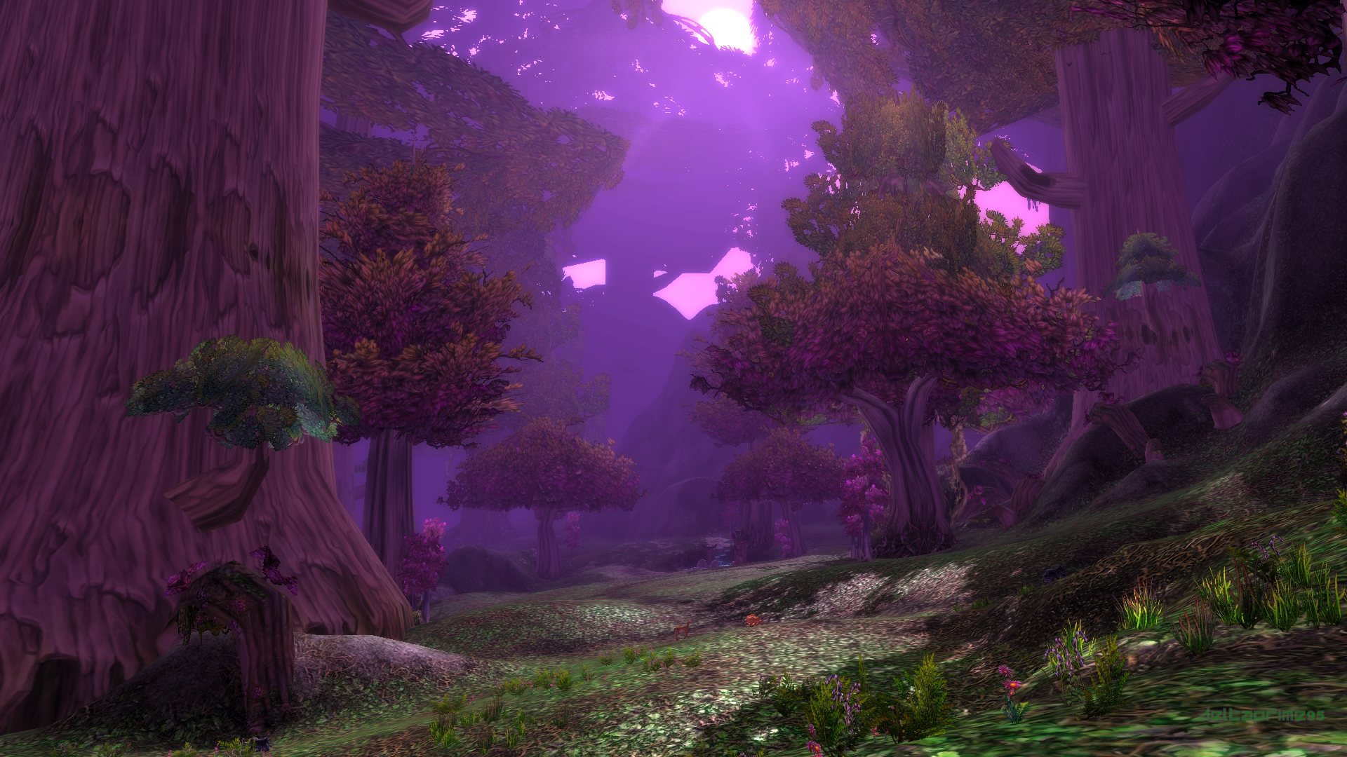 World of Warcraft: Teldrassil forest at night HD Wallpaper