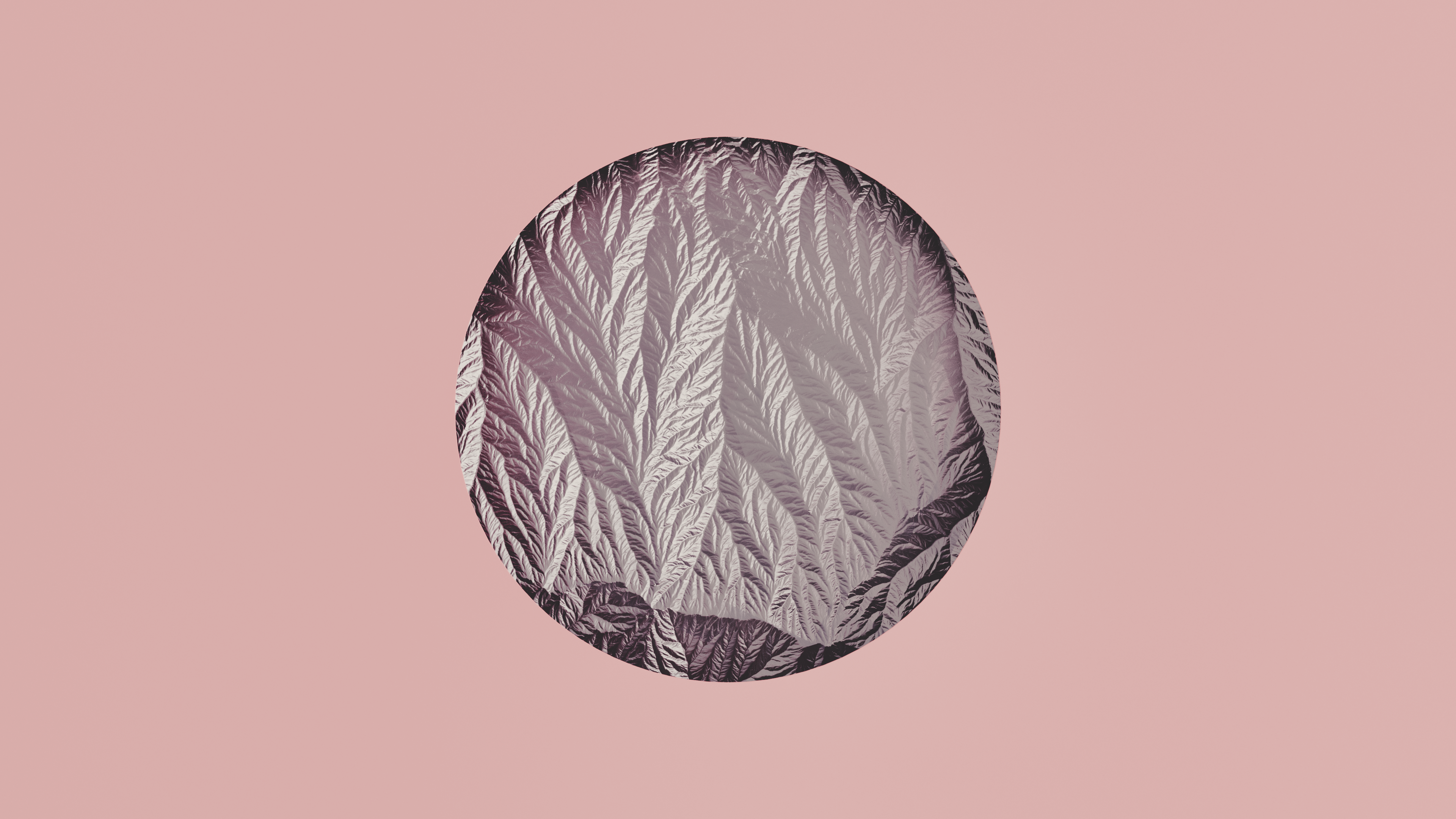 Textured Circle on Pastel Background HD Wallpaper