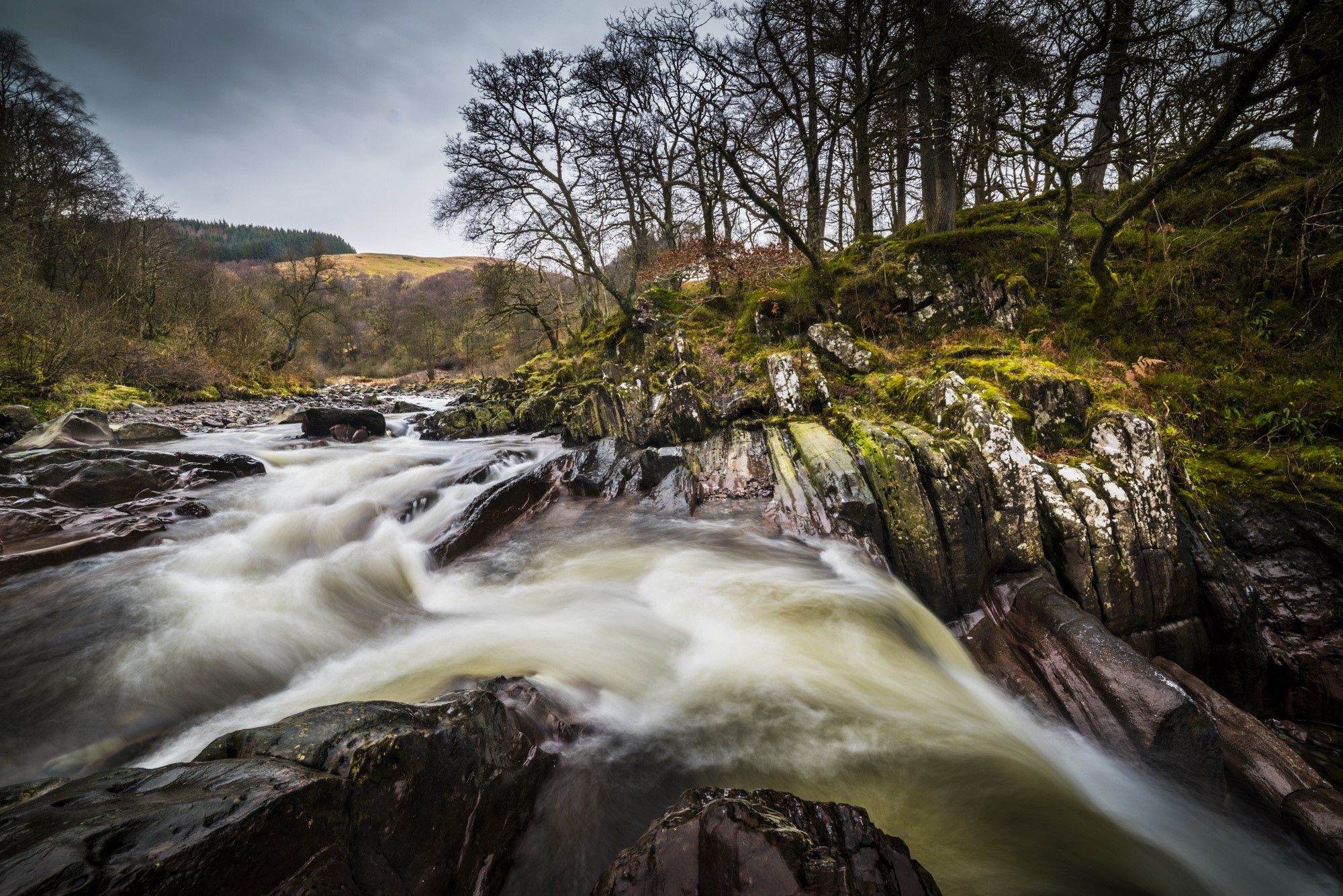 River flowing over rocks with trees on the bank HD Wallpaper
