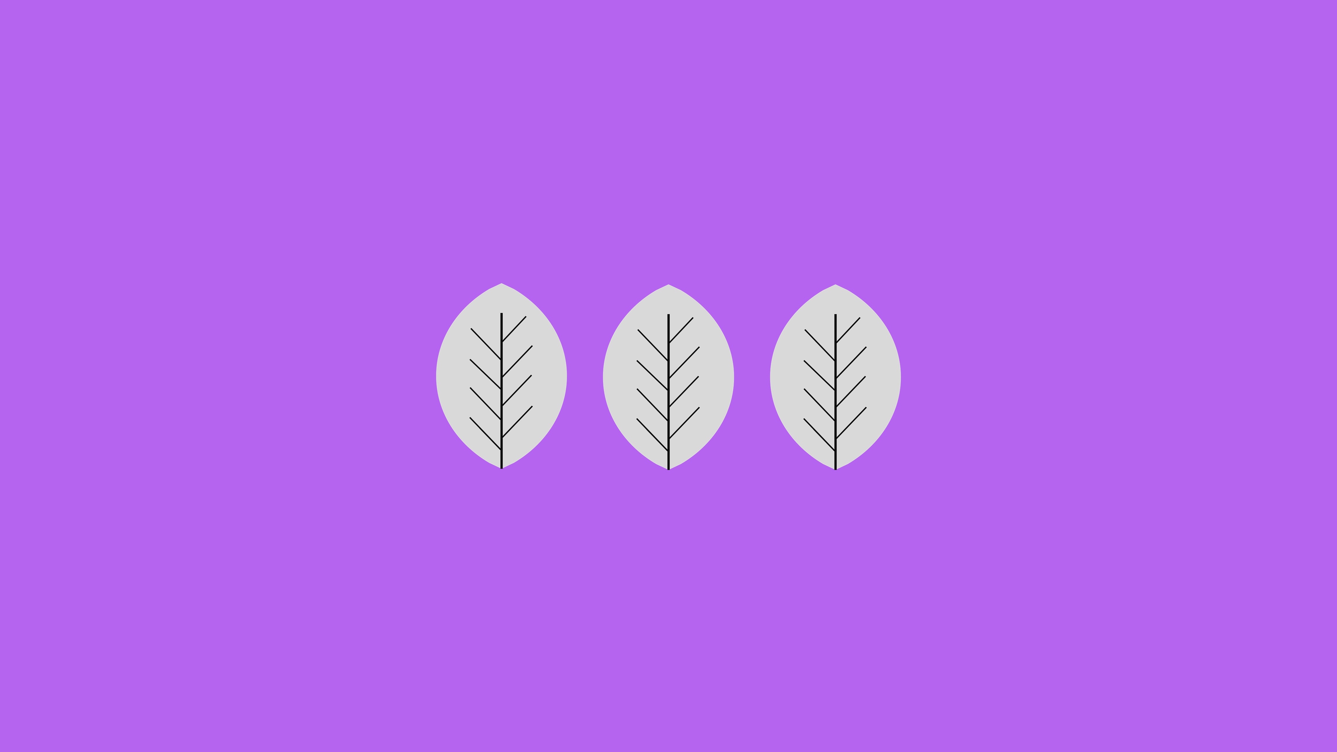 Three stylized leaves on a purple background HD Wallpaper