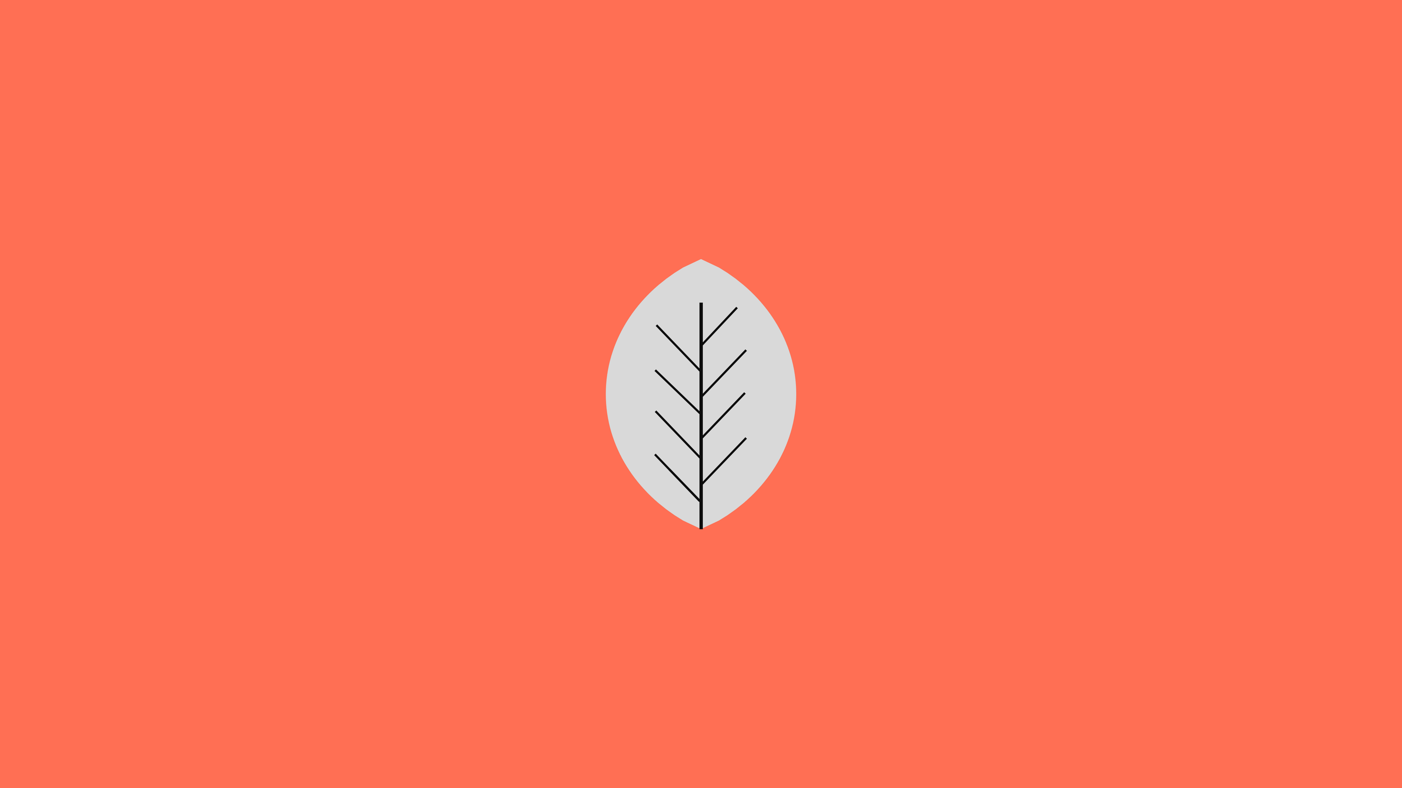 Minimalist leaf on orange background HD Wallpaper