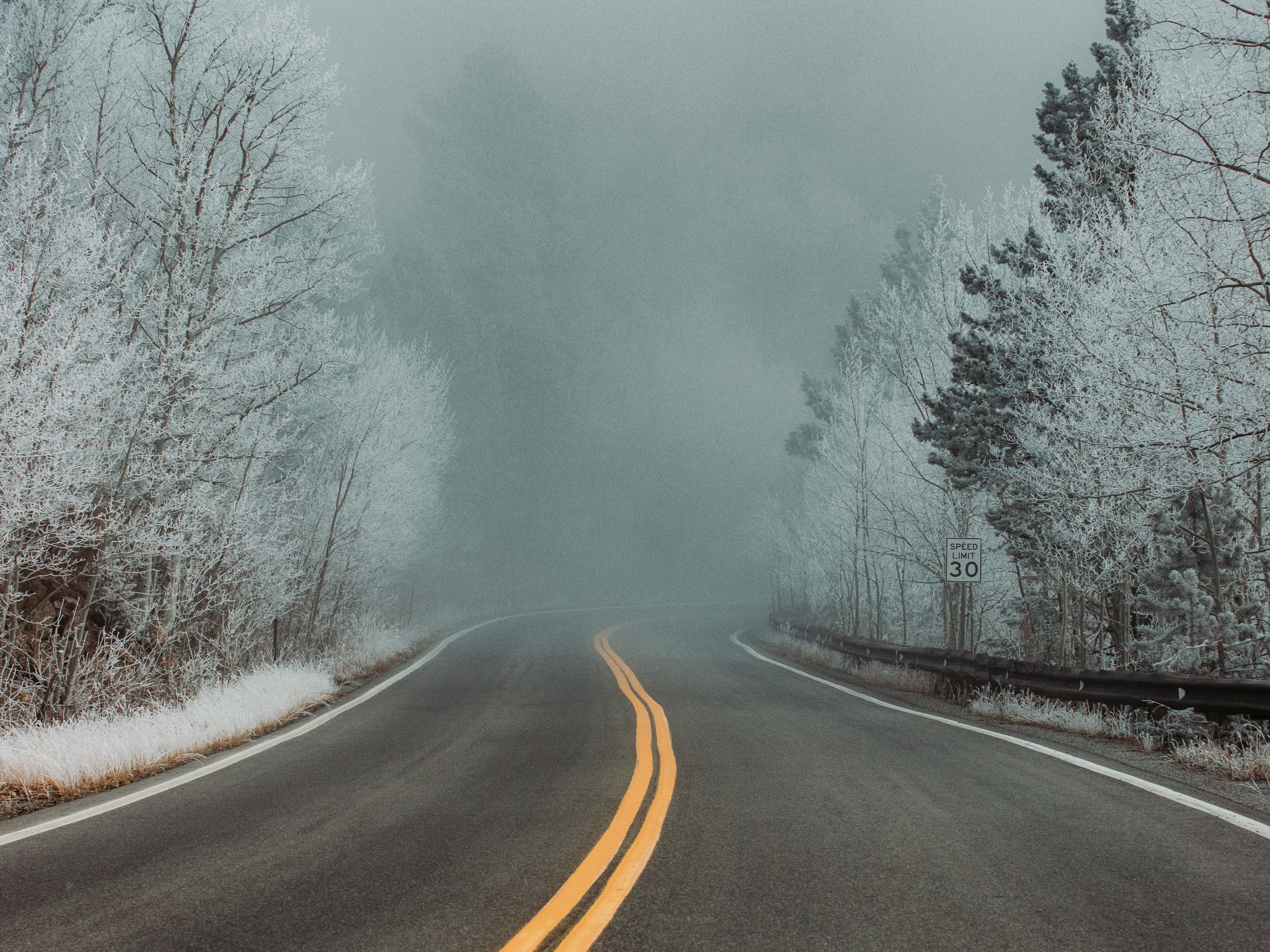 Winding road through frosted trees in fog HD Wallpaper