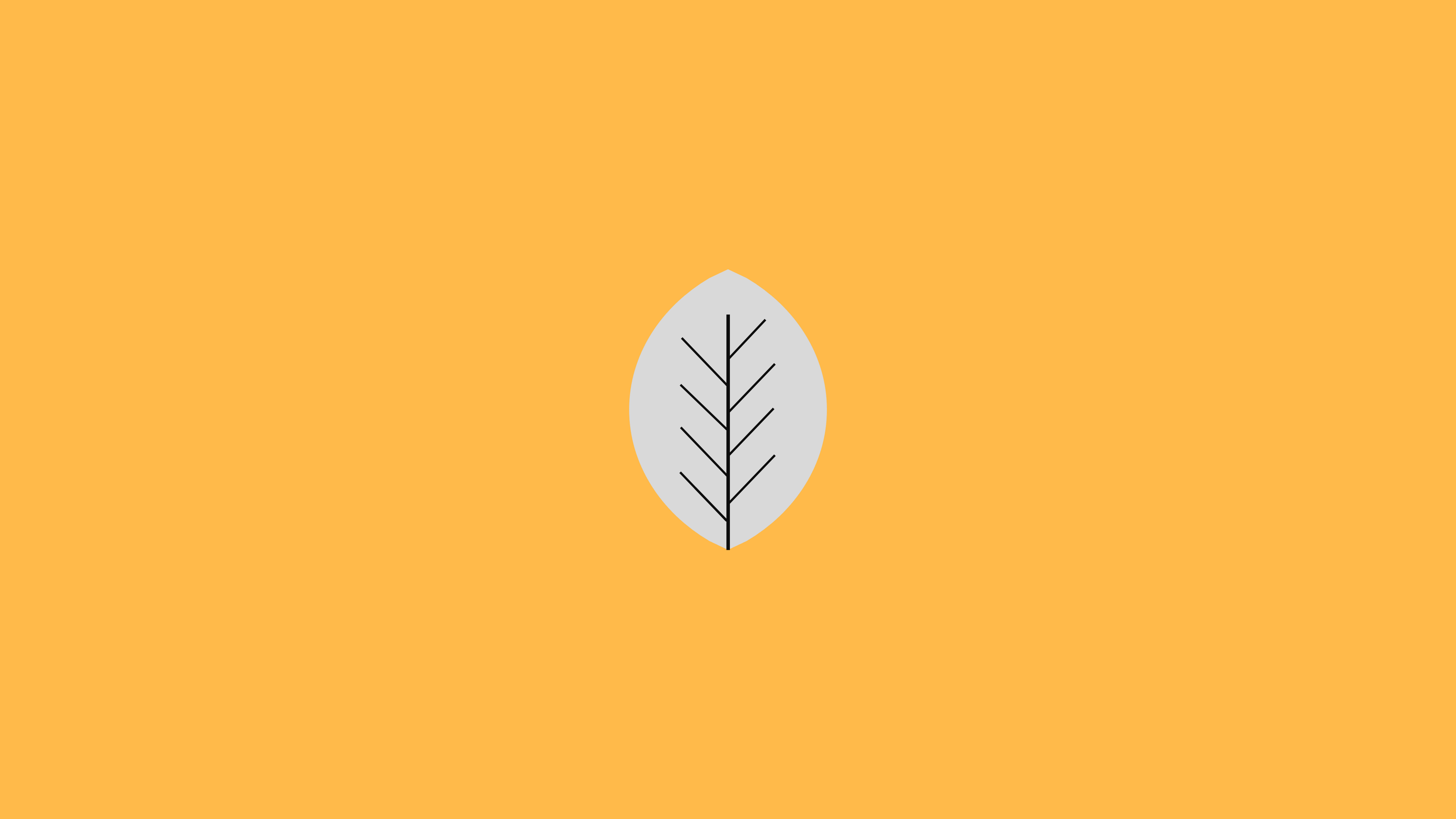 Minimalist leaf illustration on orange background HD Wallpaper
