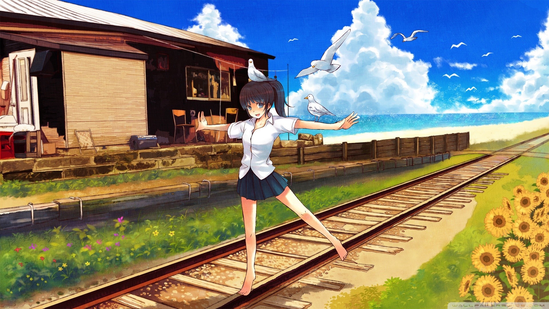 Anime girl with birds on a railway by the sea HD Wallpaper