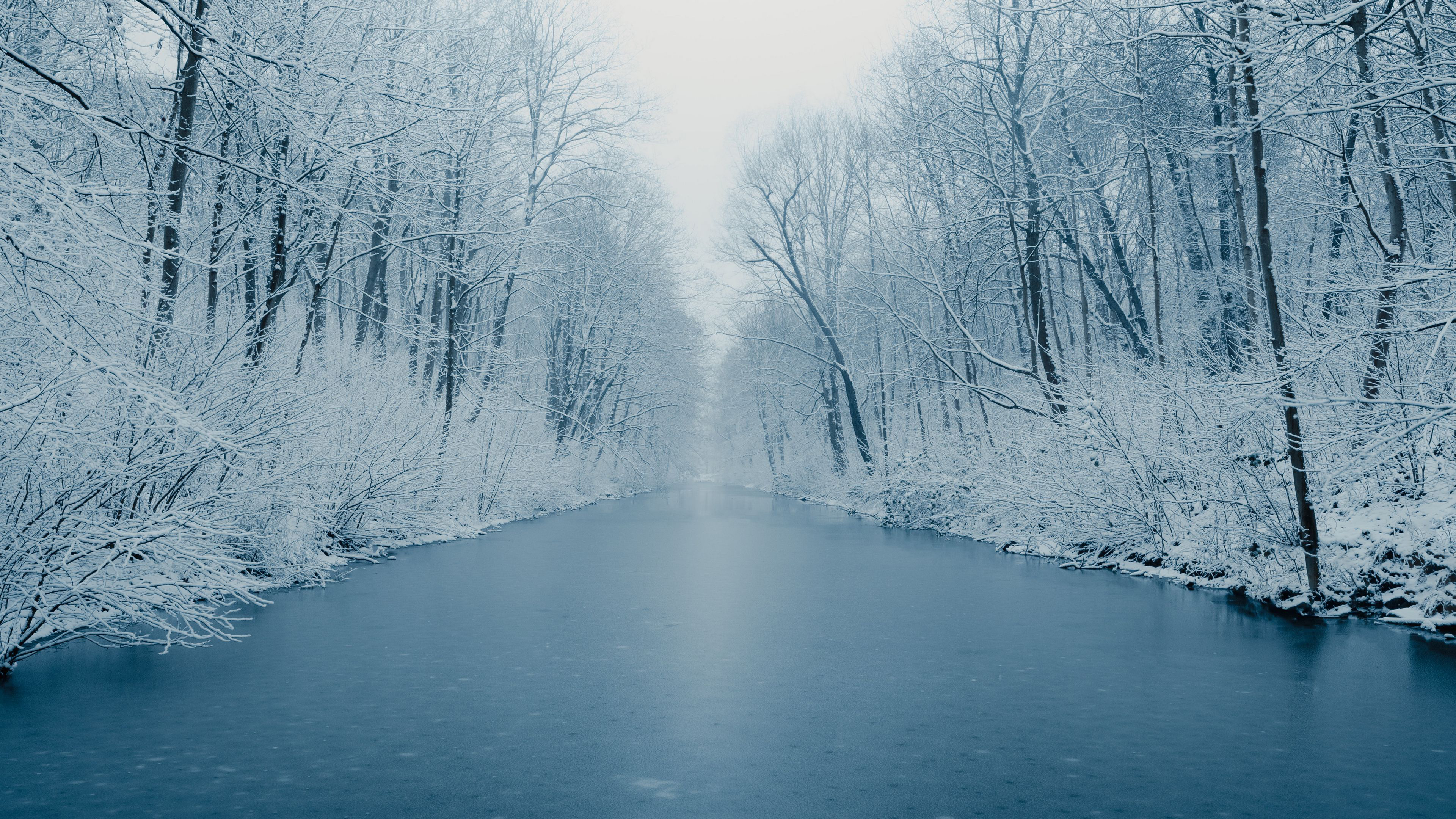 River Between Snow Covered Trees HD Wallpaper