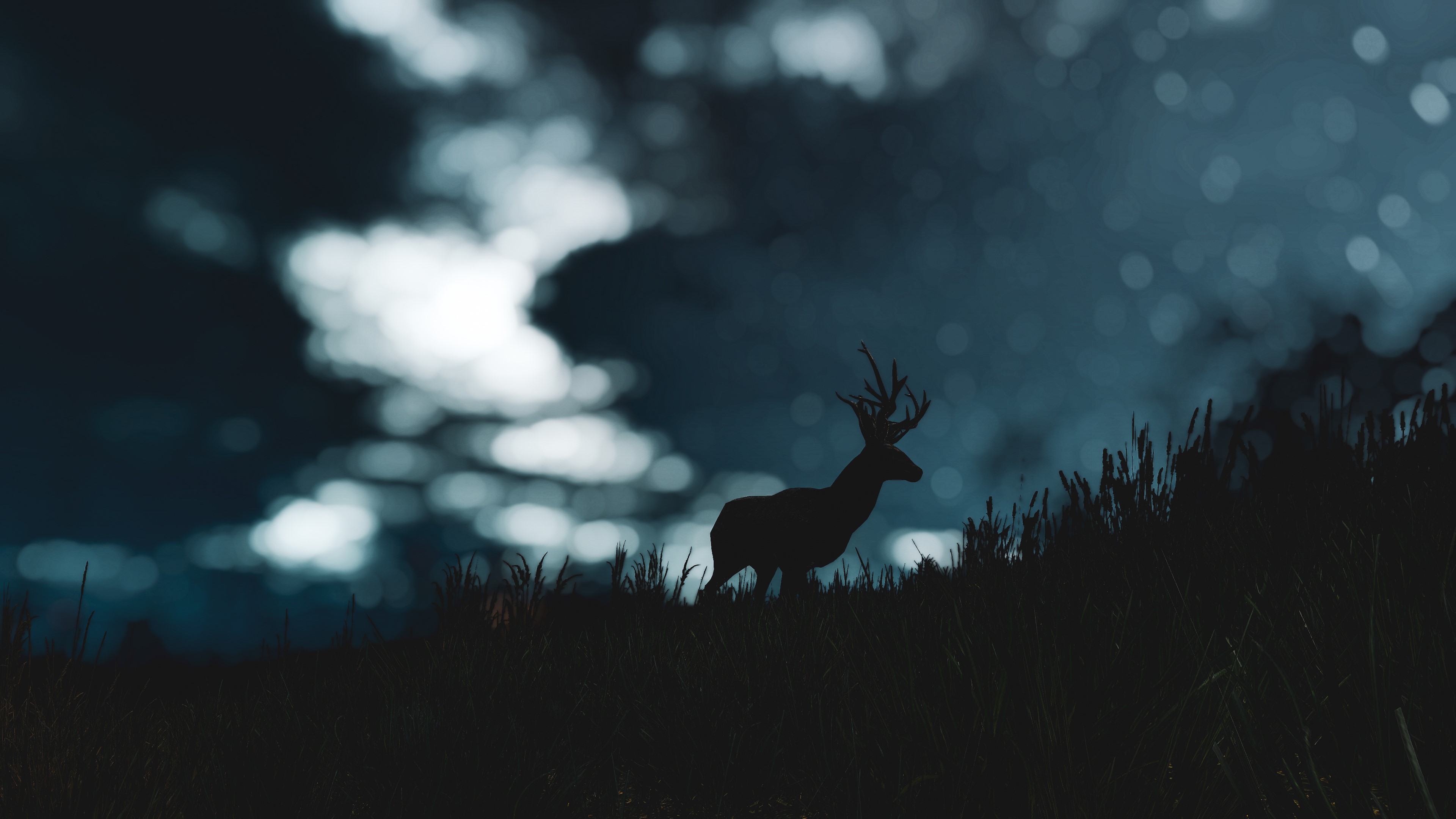 4K The Witcher 3: Wild Hunt deer at night HD Wallpaper