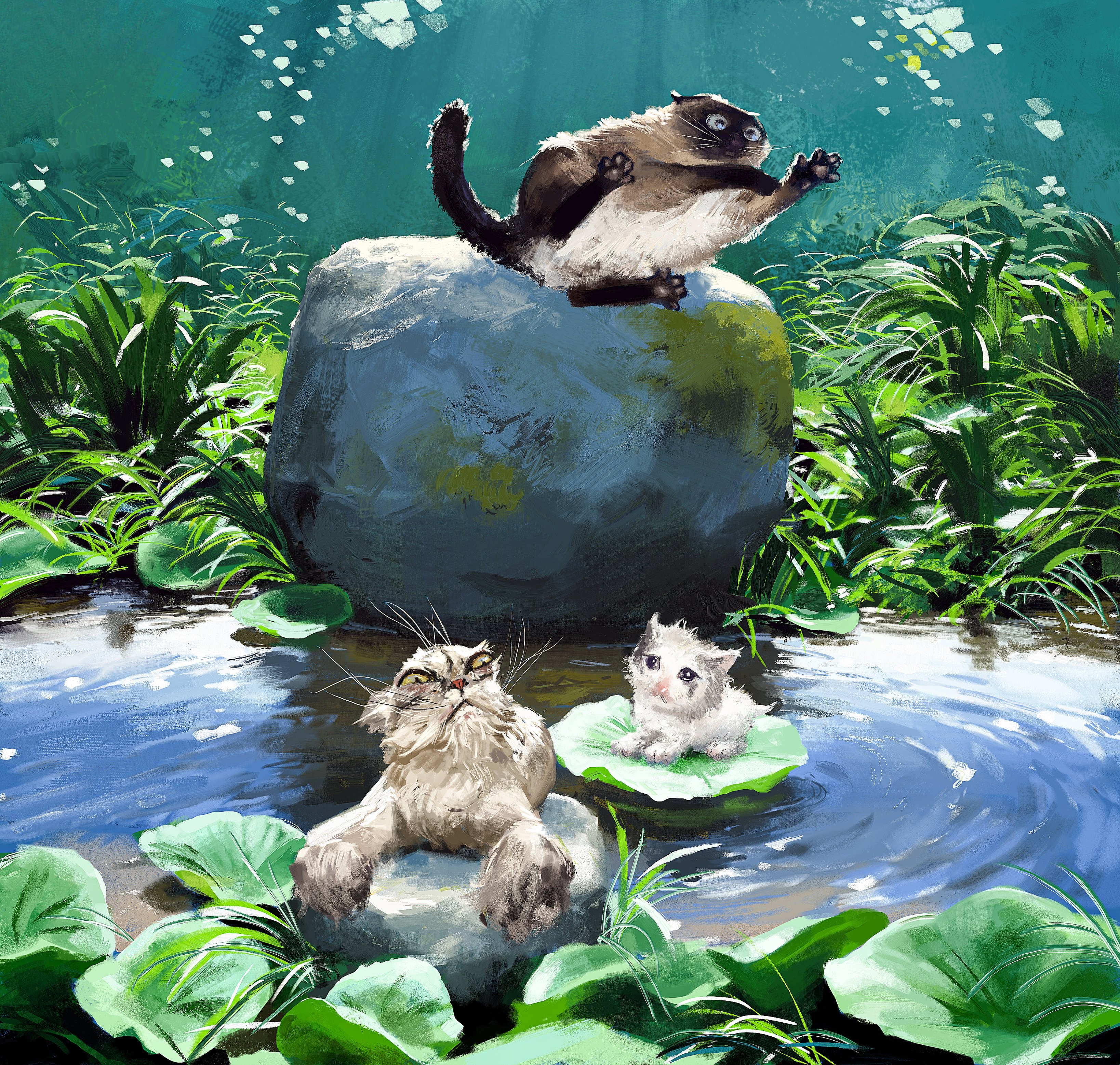 Cats on rocks in a pond with water lilies HD Wallpaper