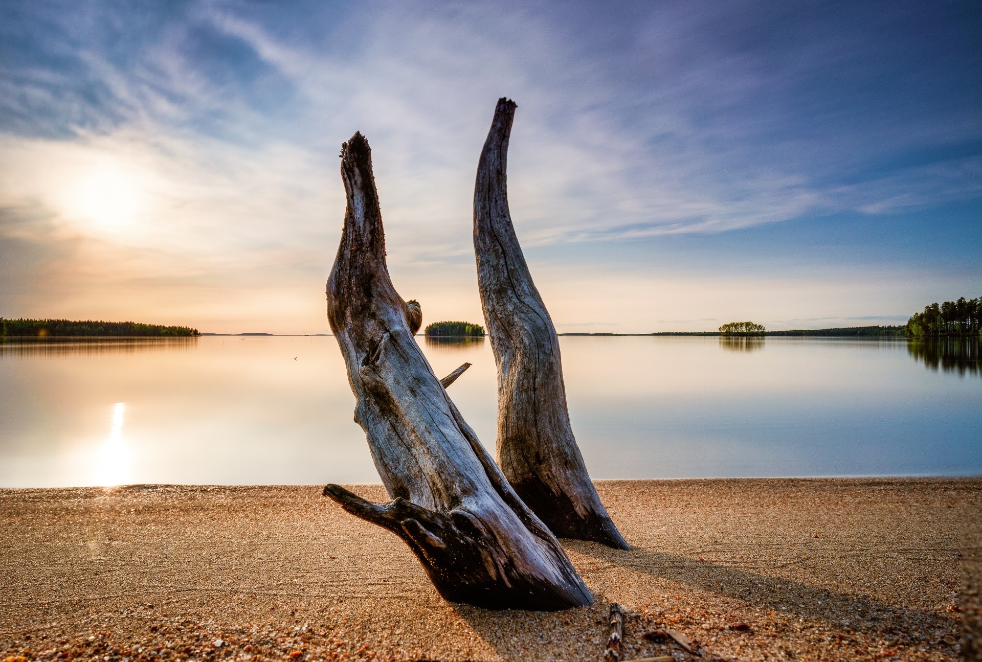 Driftwood on a sandy beach by a calm lake at sunset HD Wallpaper