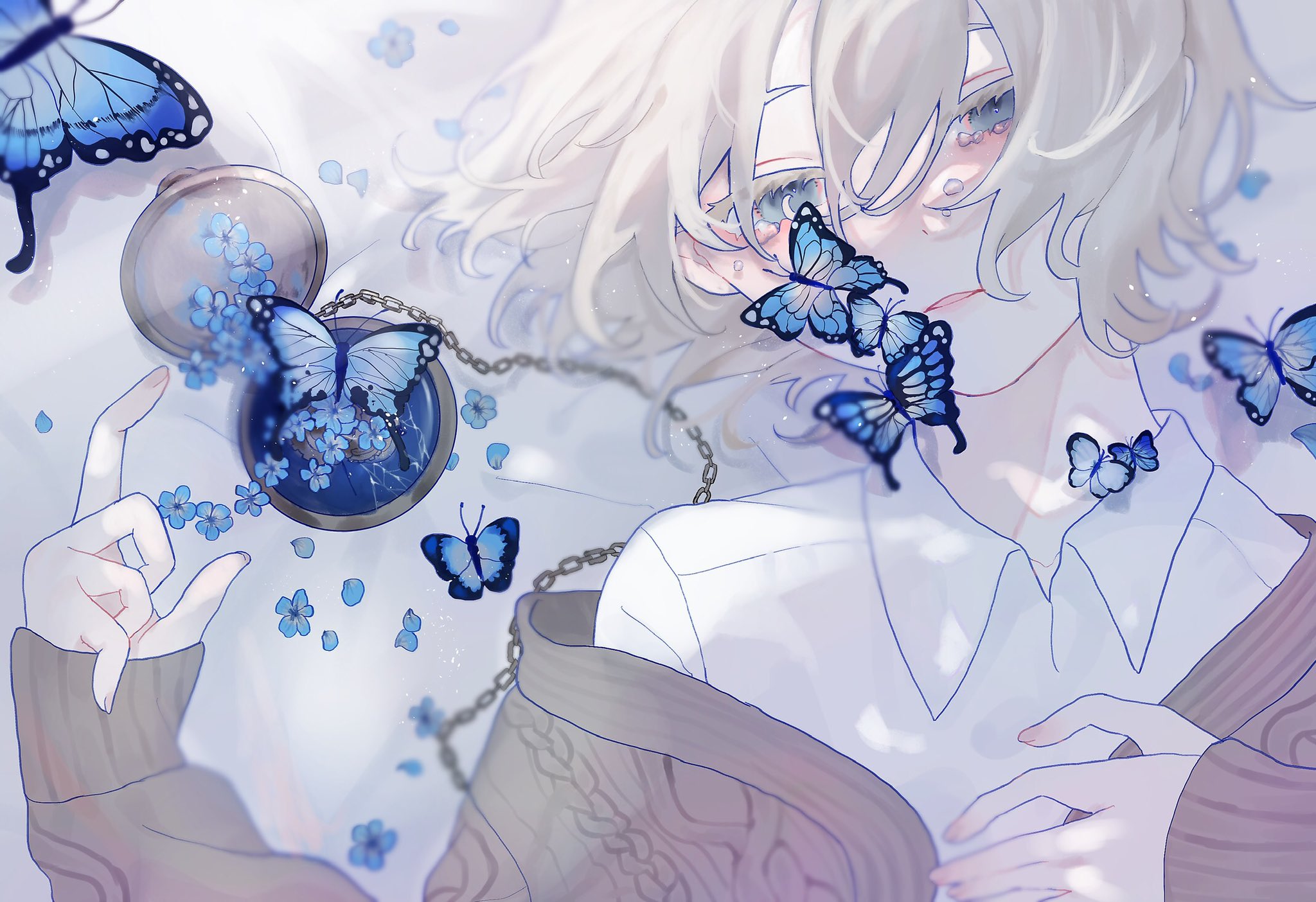 Anime boy with blue butterflies and pocket watch HD Wallpaper