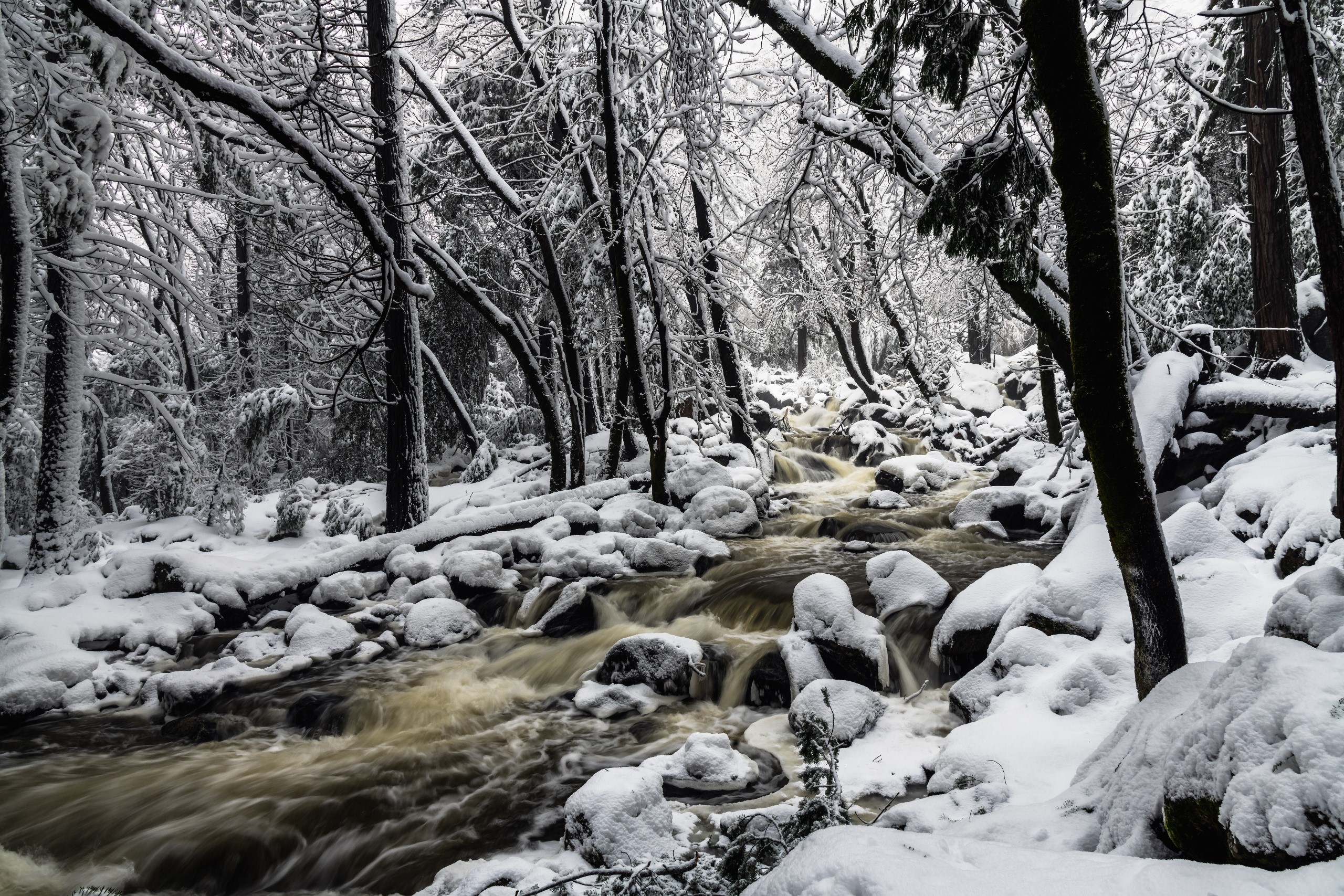 Winter stream flowing through a snow-covered forest HD Wallpaper