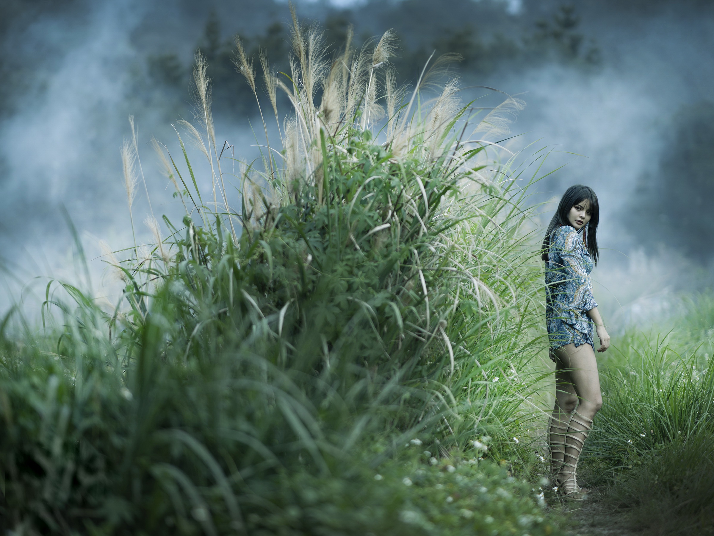 Asian woman in a field of tall grass HD Wallpaper