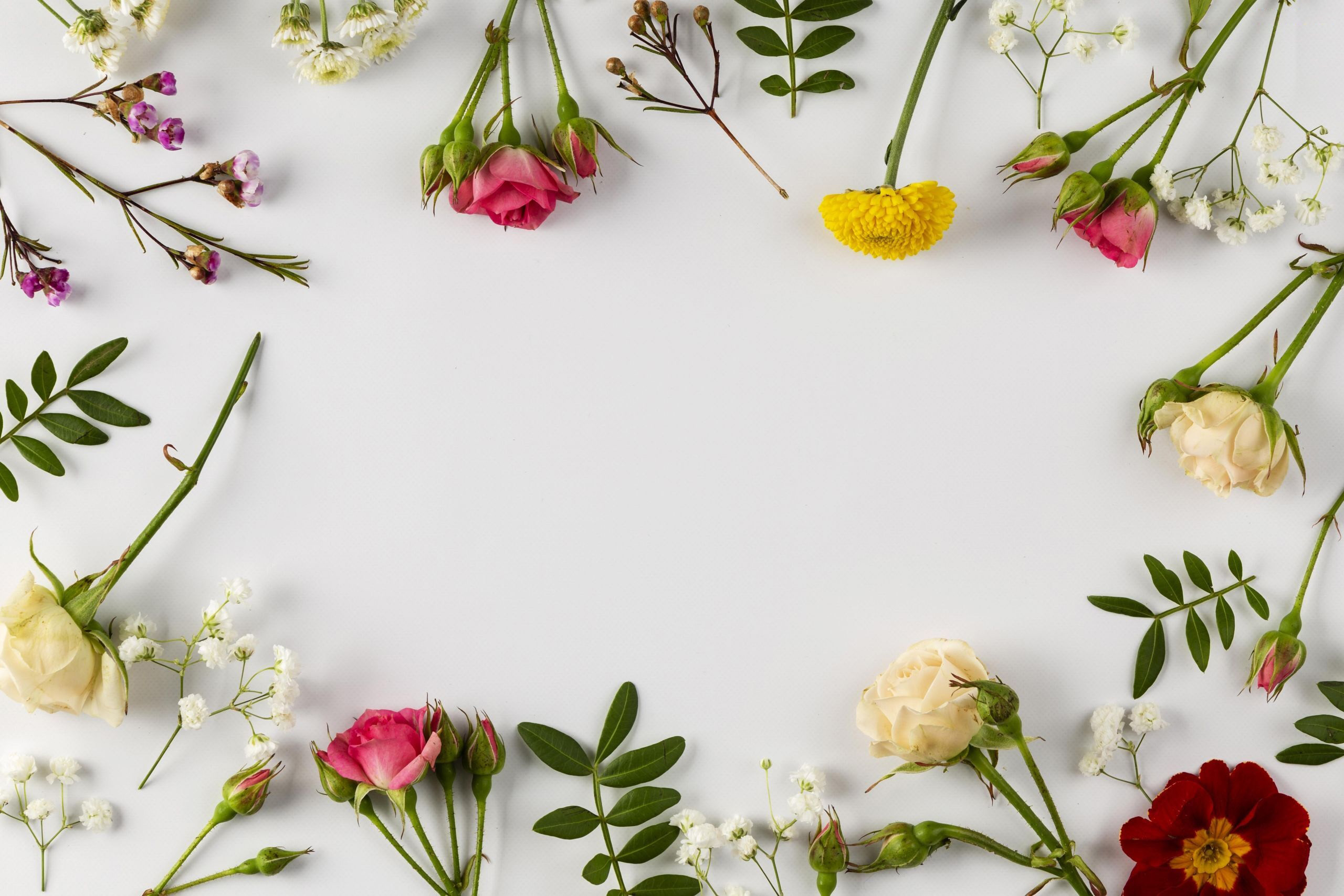 Floral arrangement with roses and daisies HD Wallpaper