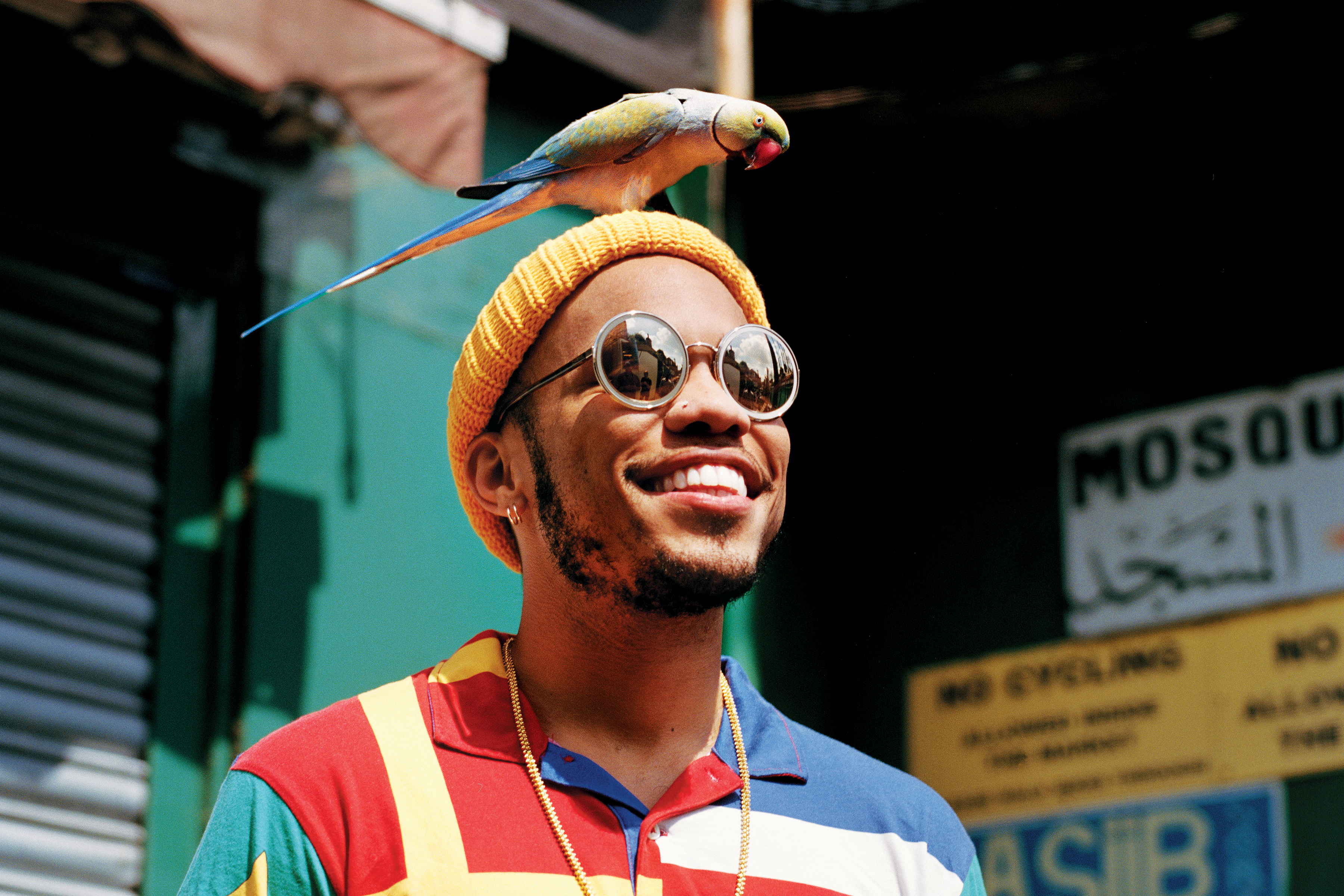 Anderson .Paak with a parrot on his head HD Wallpaper