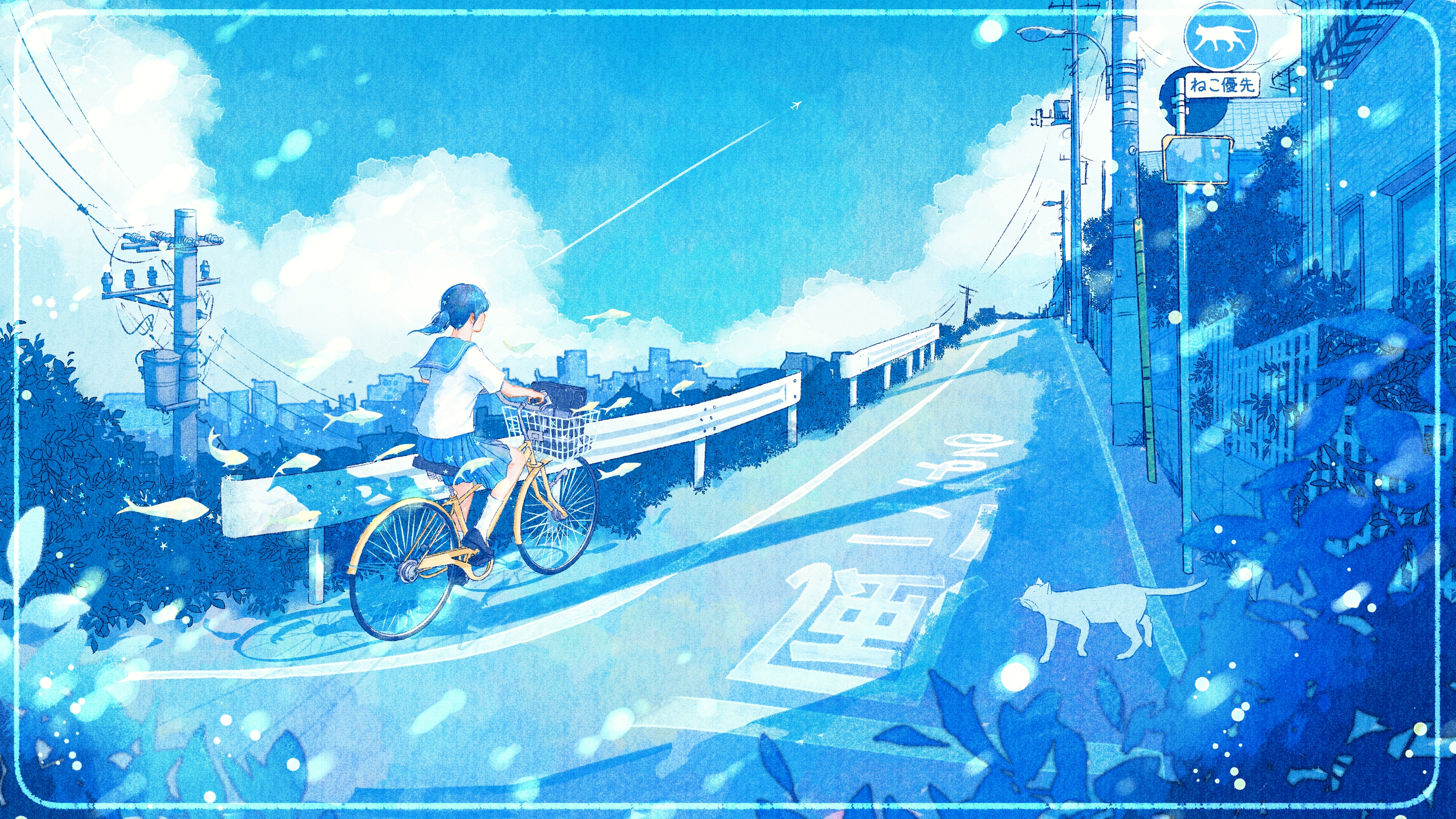 Girl on Bicycle with Cat HD Wallpaper