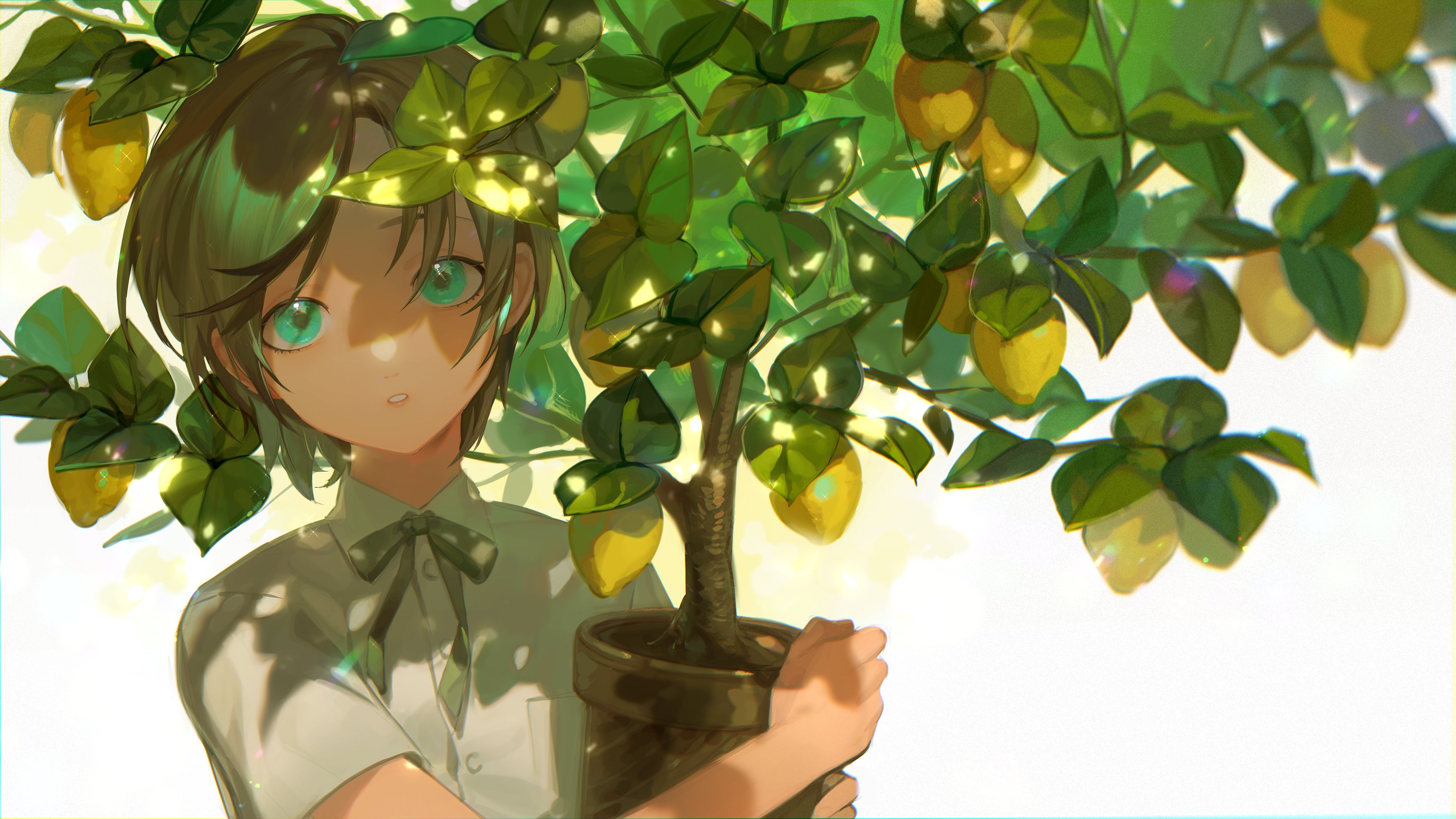 Girl with green eyes holding a lemon tree HD Wallpaper