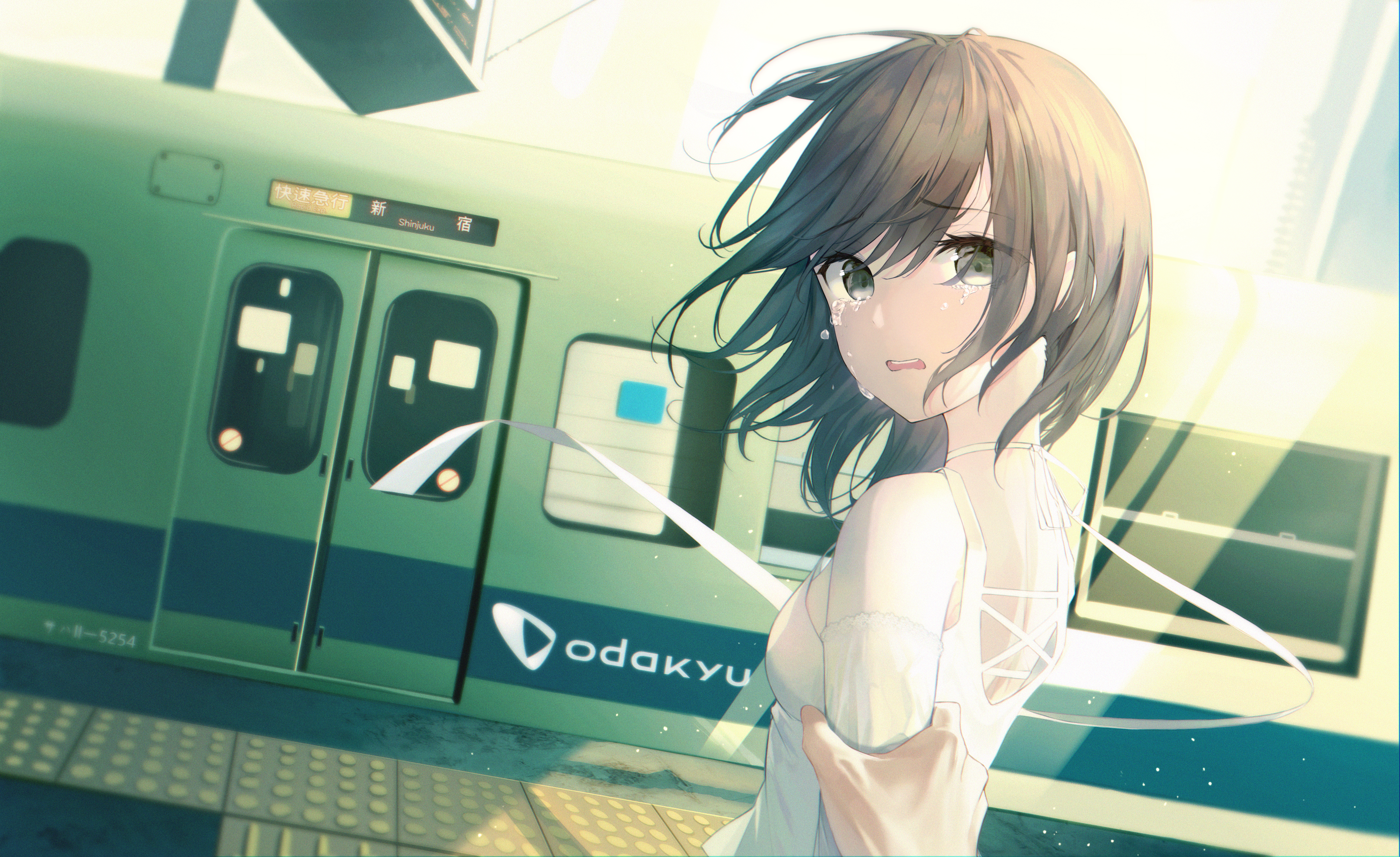 Girl crying at Odakyu train station HD Wallpaper