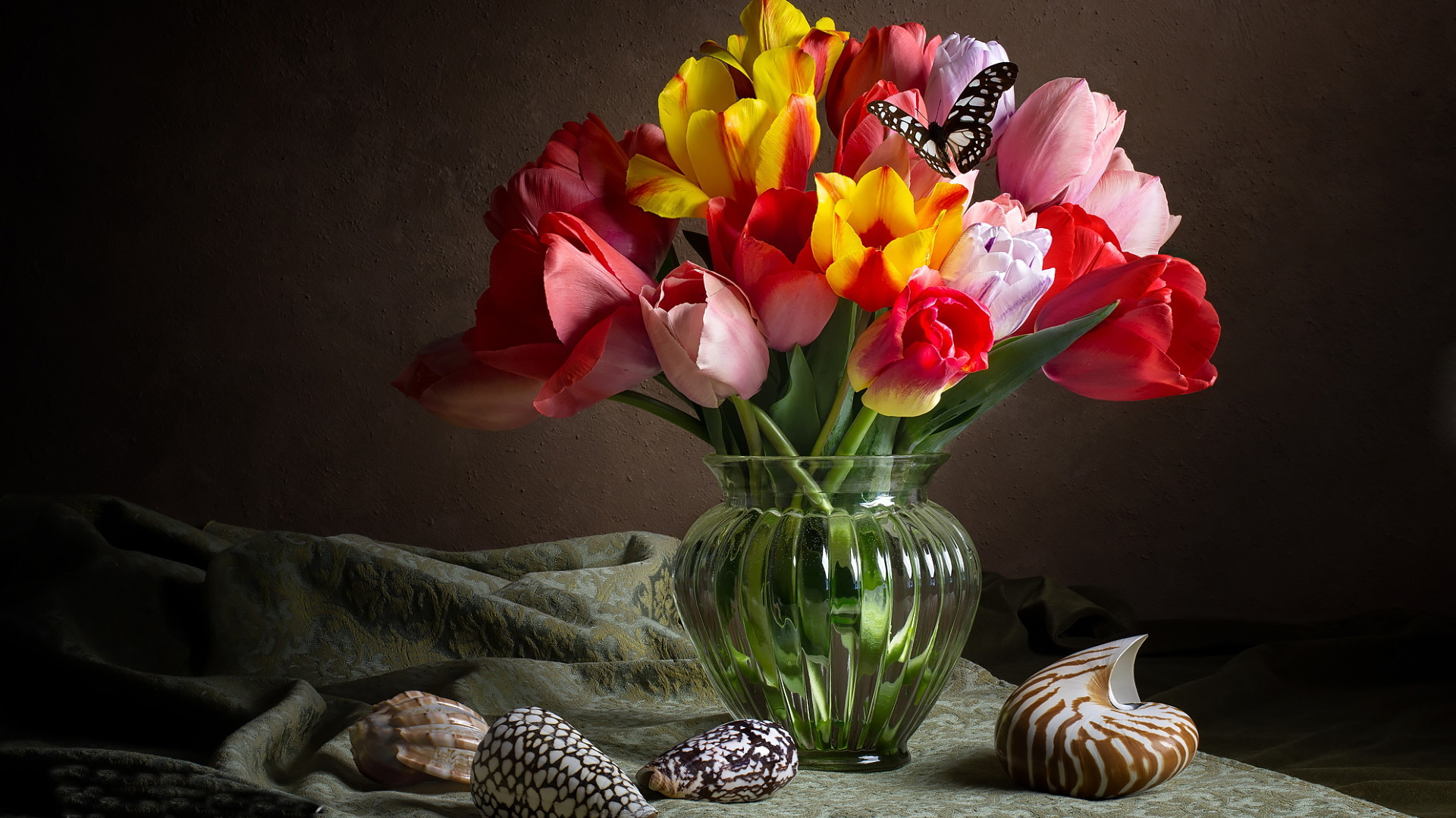 Still life photography of tulips and seashells HD Wallpaper