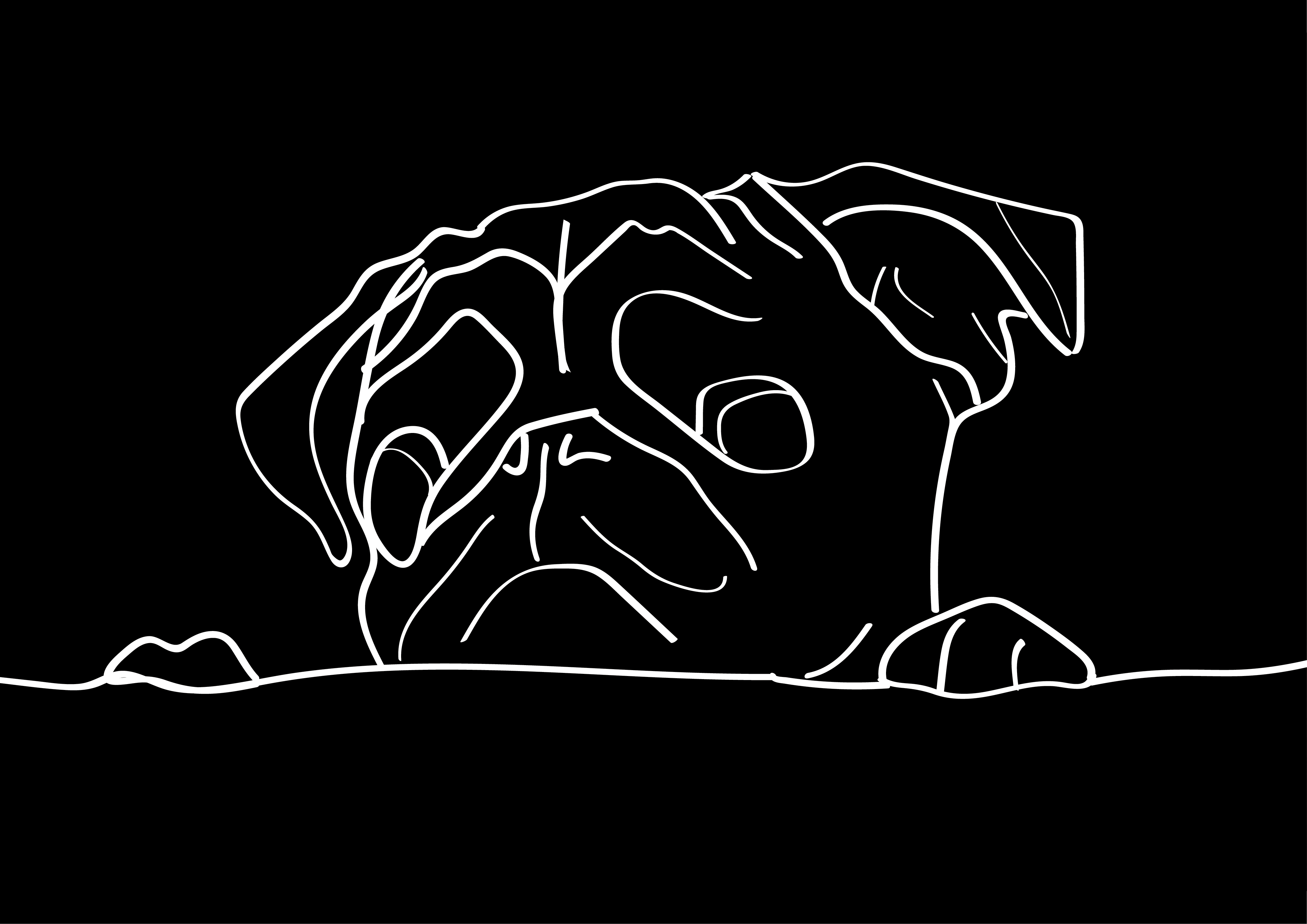 Pug Dog Digital Art 4K HD Wallpaper
