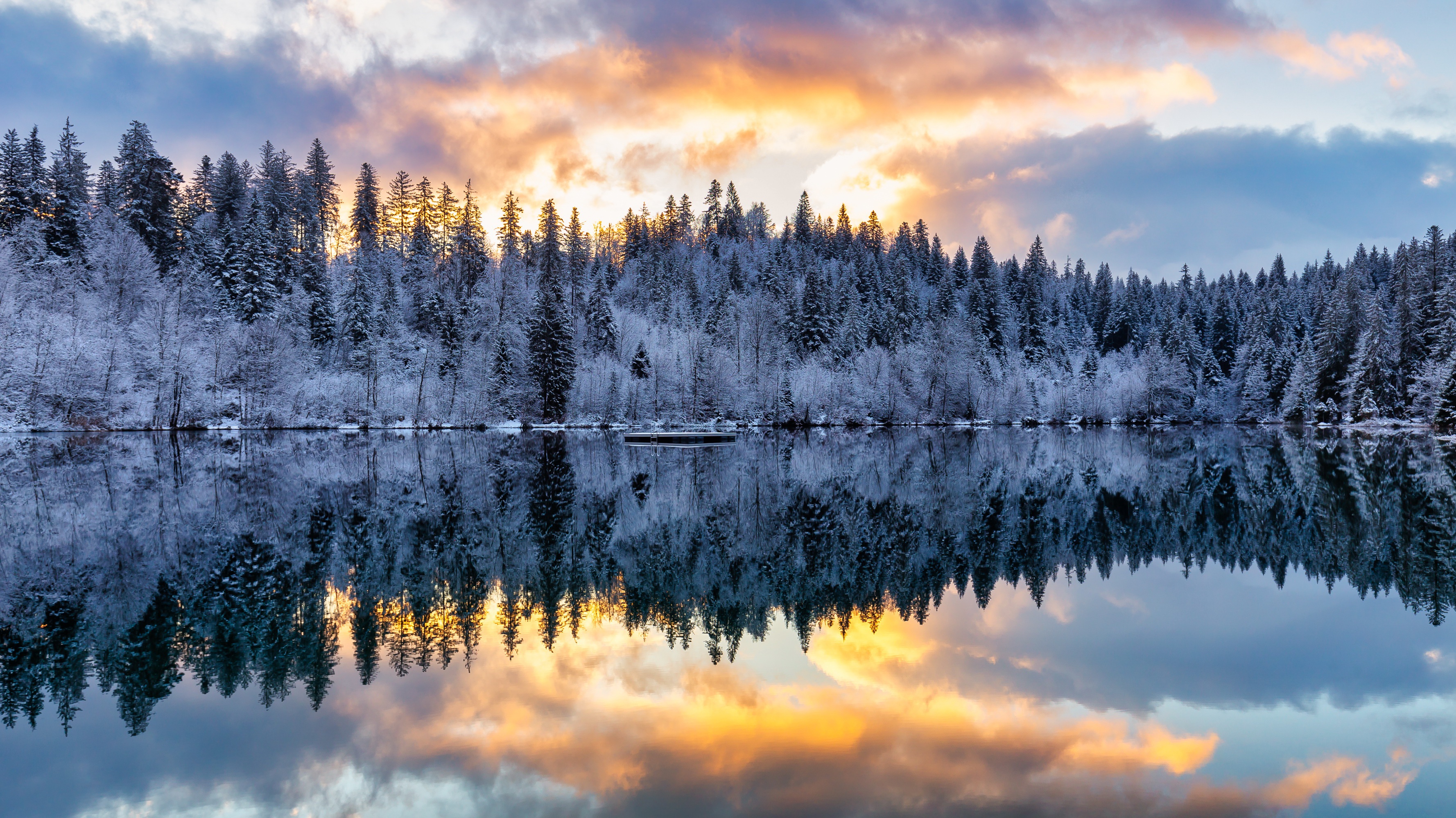 Snow-covered forest reflected in a lake at sunset HD Wallpaper