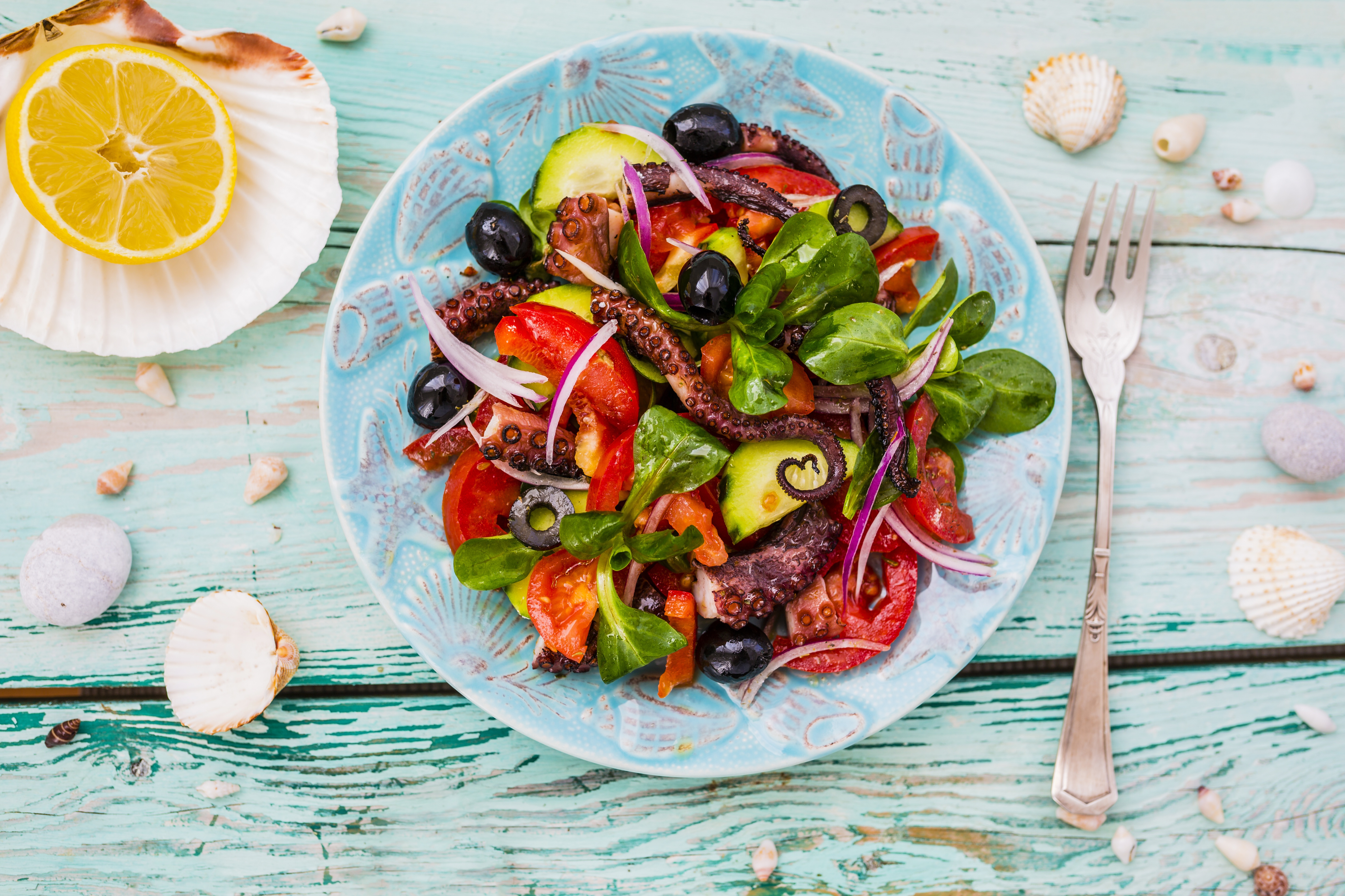 Octopus Tentacle Salad with Lemon and Olives HD Wallpaper
