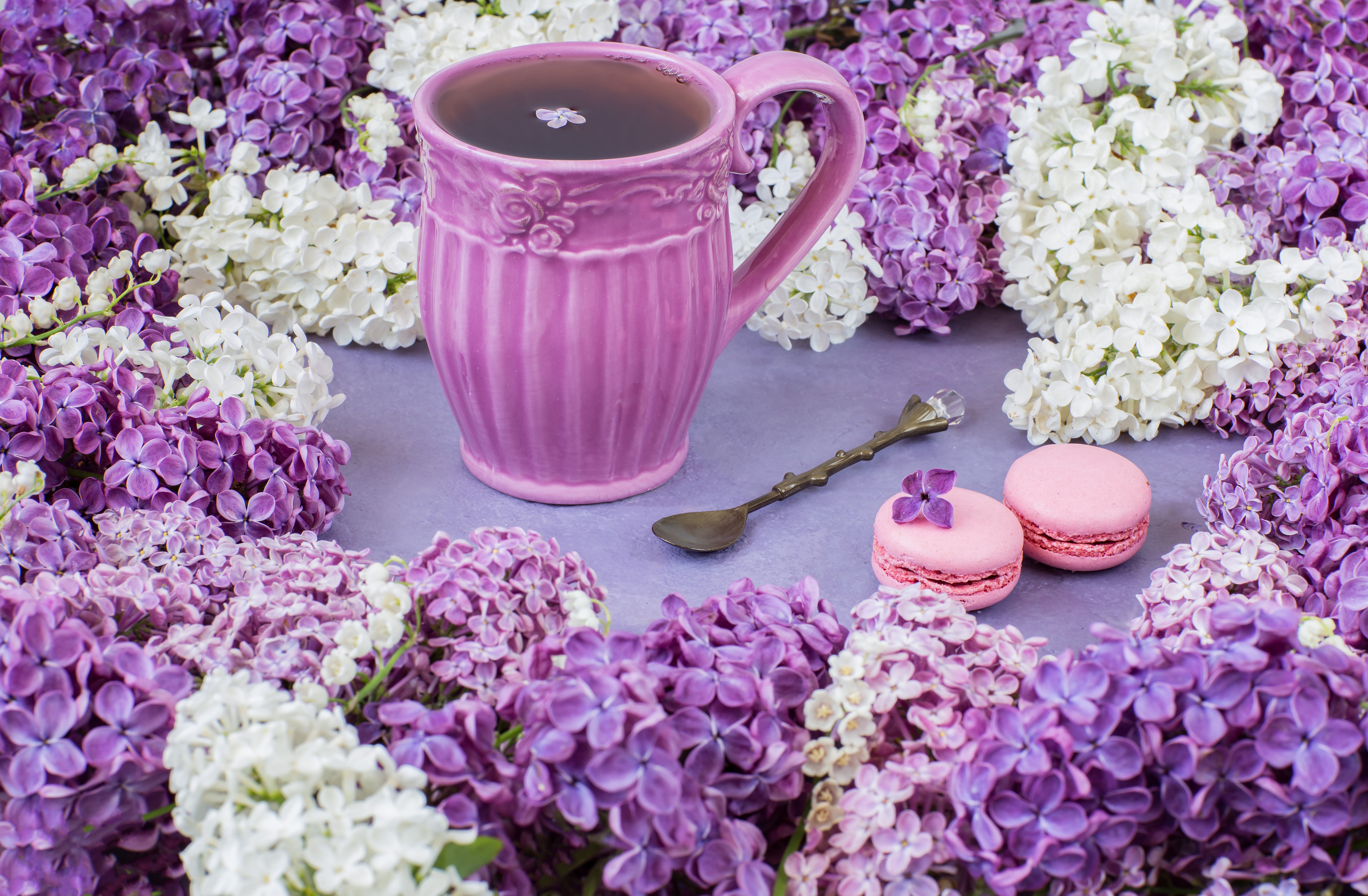 Tea cup with lilacs and macarons HD Wallpaper