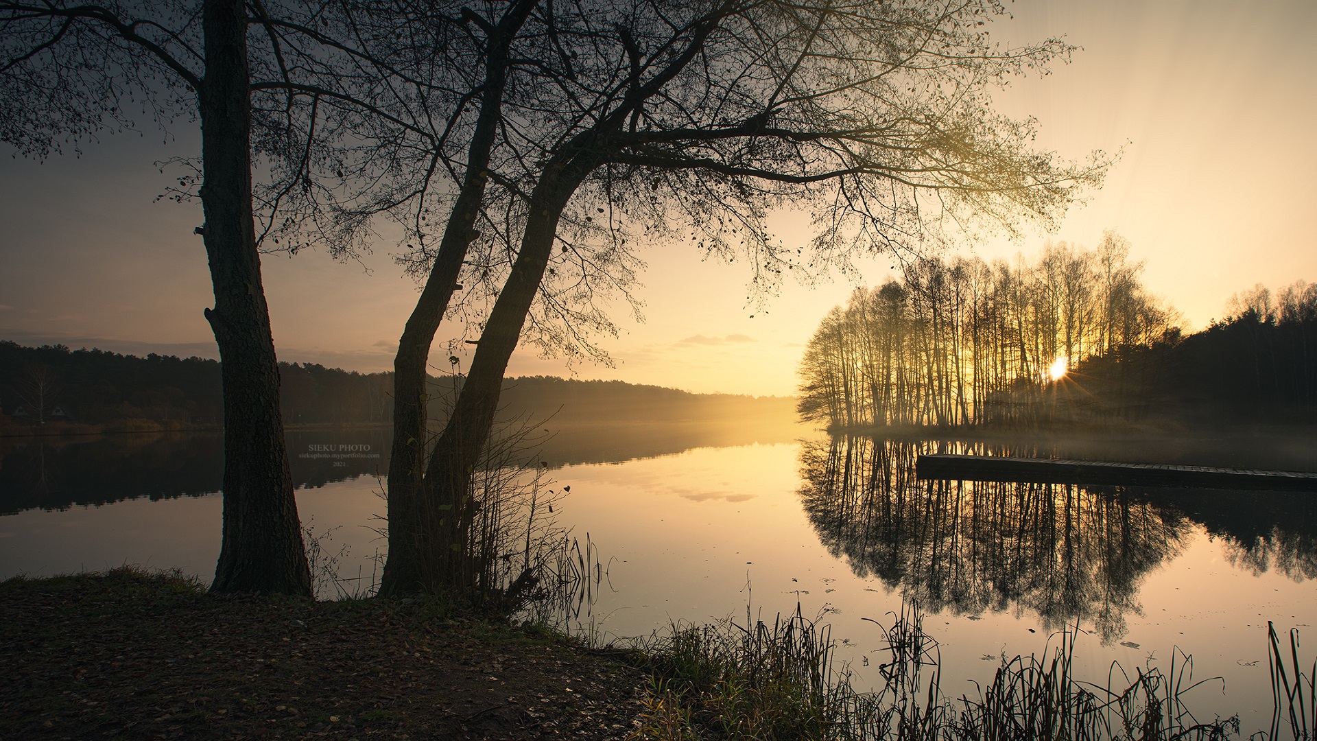Sunrise over a misty lake with trees HD Wallpaper