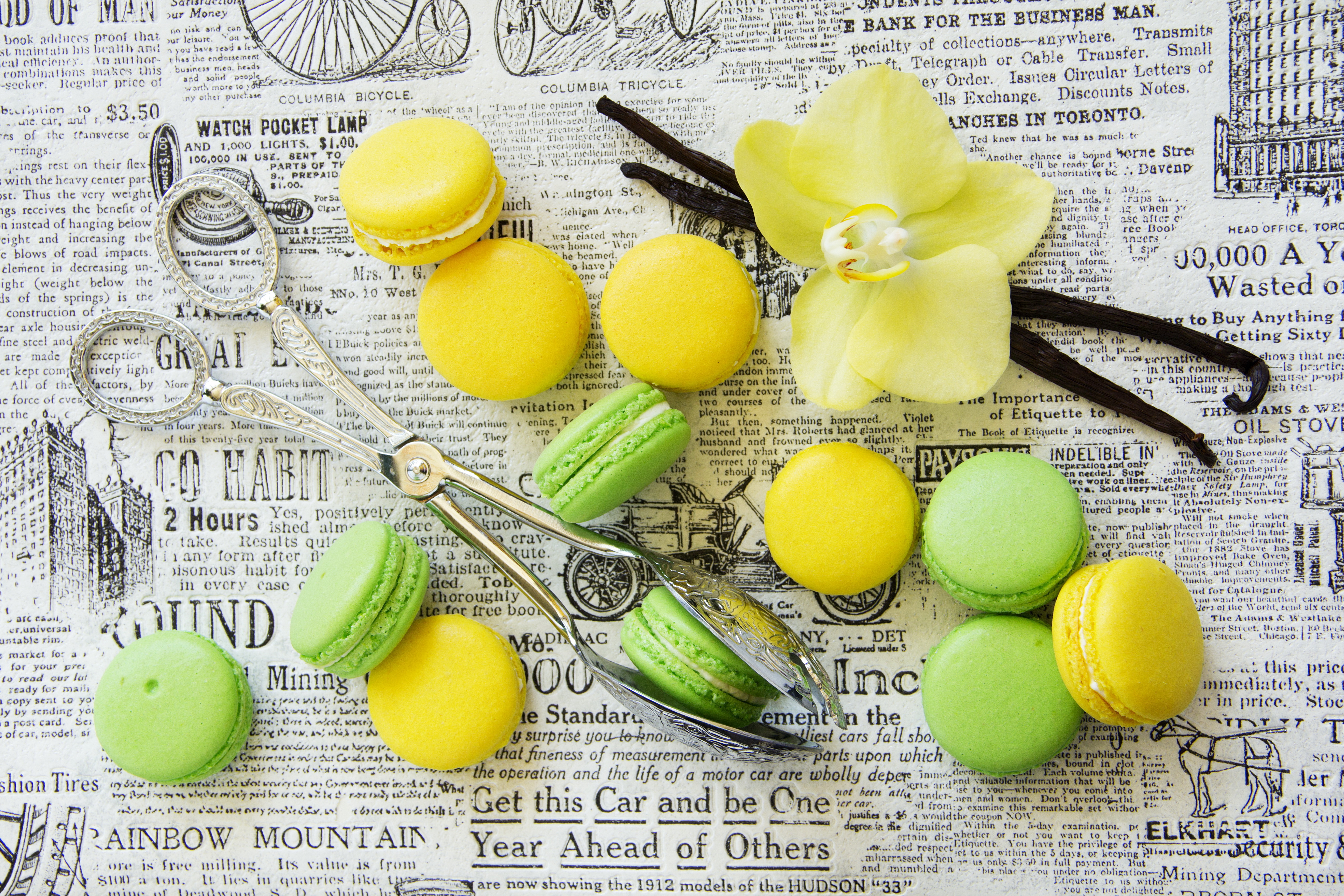 Yellow and Green Macarons with Vanilla Beans and Orchid HD Wallpaper