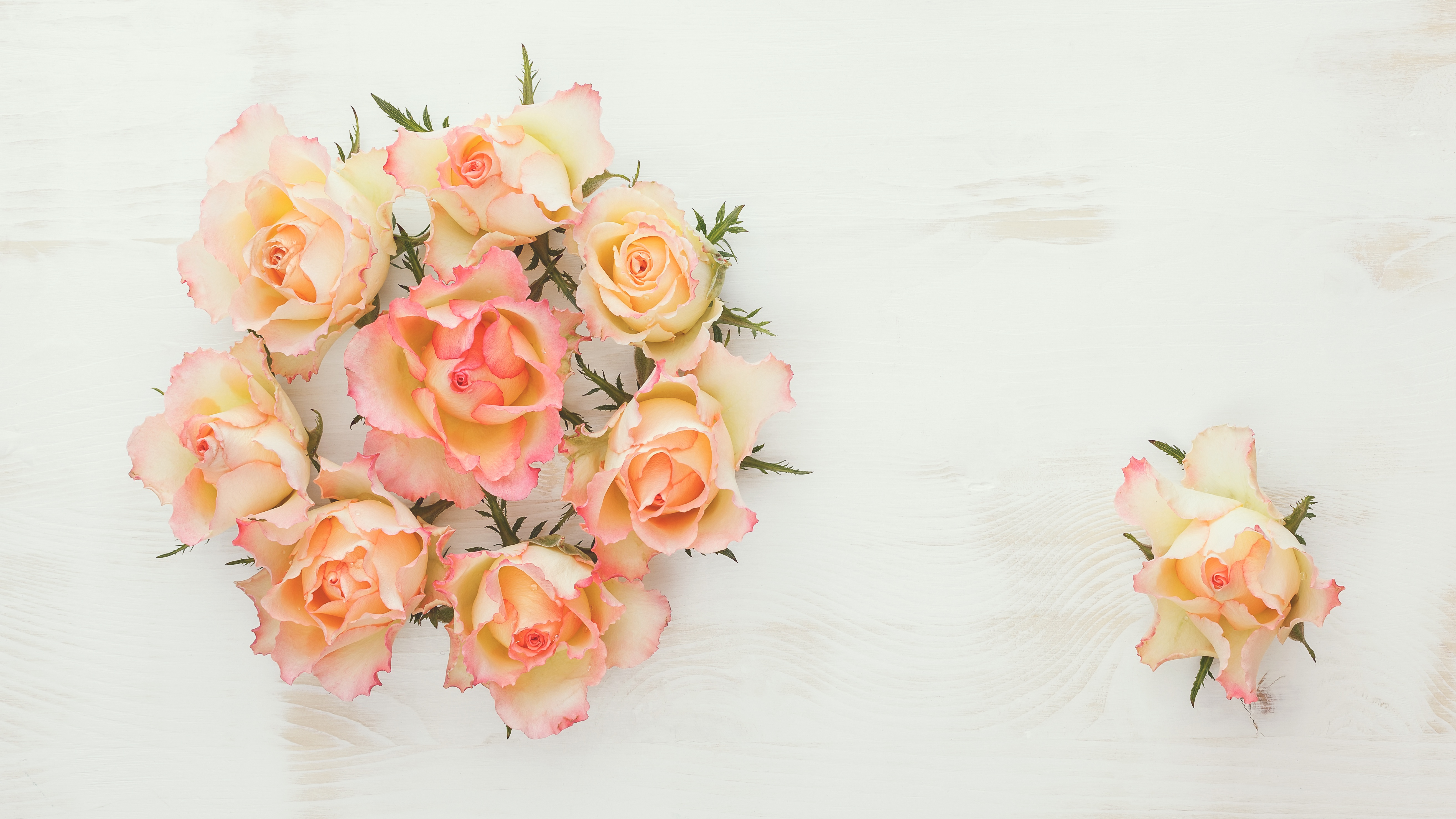 Peach and Pink Roses on White Wood HD Wallpaper