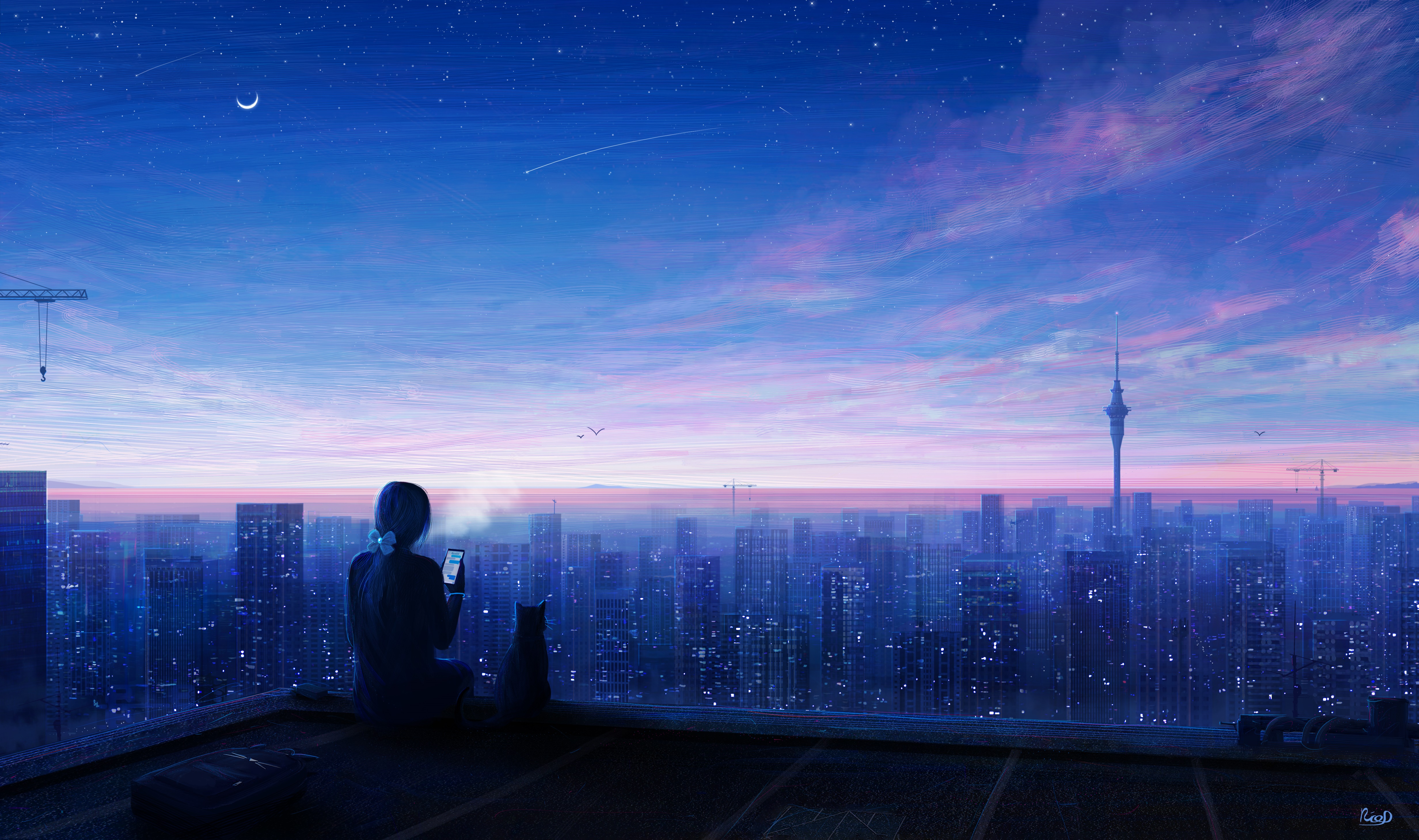 Girl and cat on a rooftop overlooking a city at night HD Wallpaper
