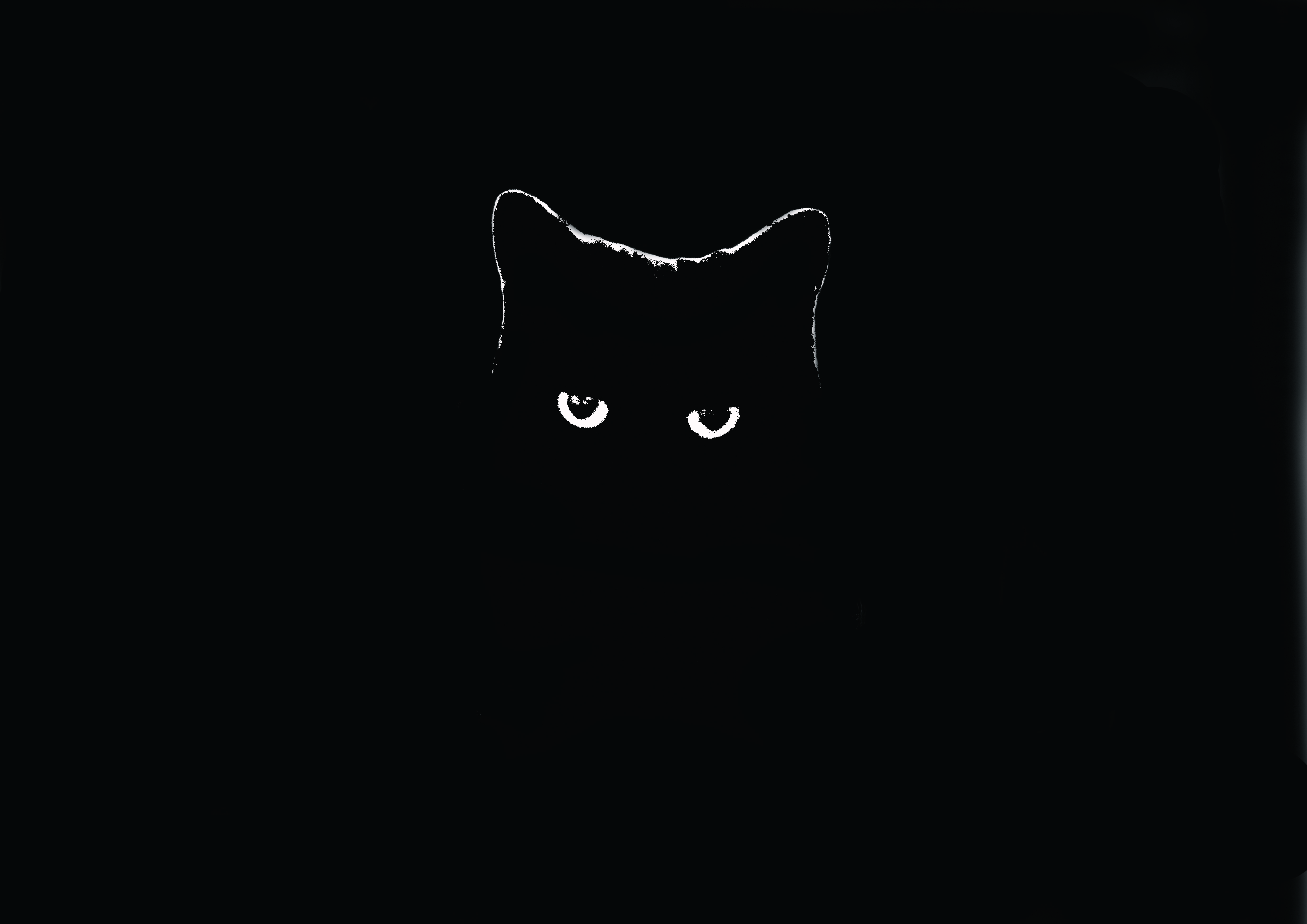 Black cat with glowing eyes in the dark HD Wallpaper