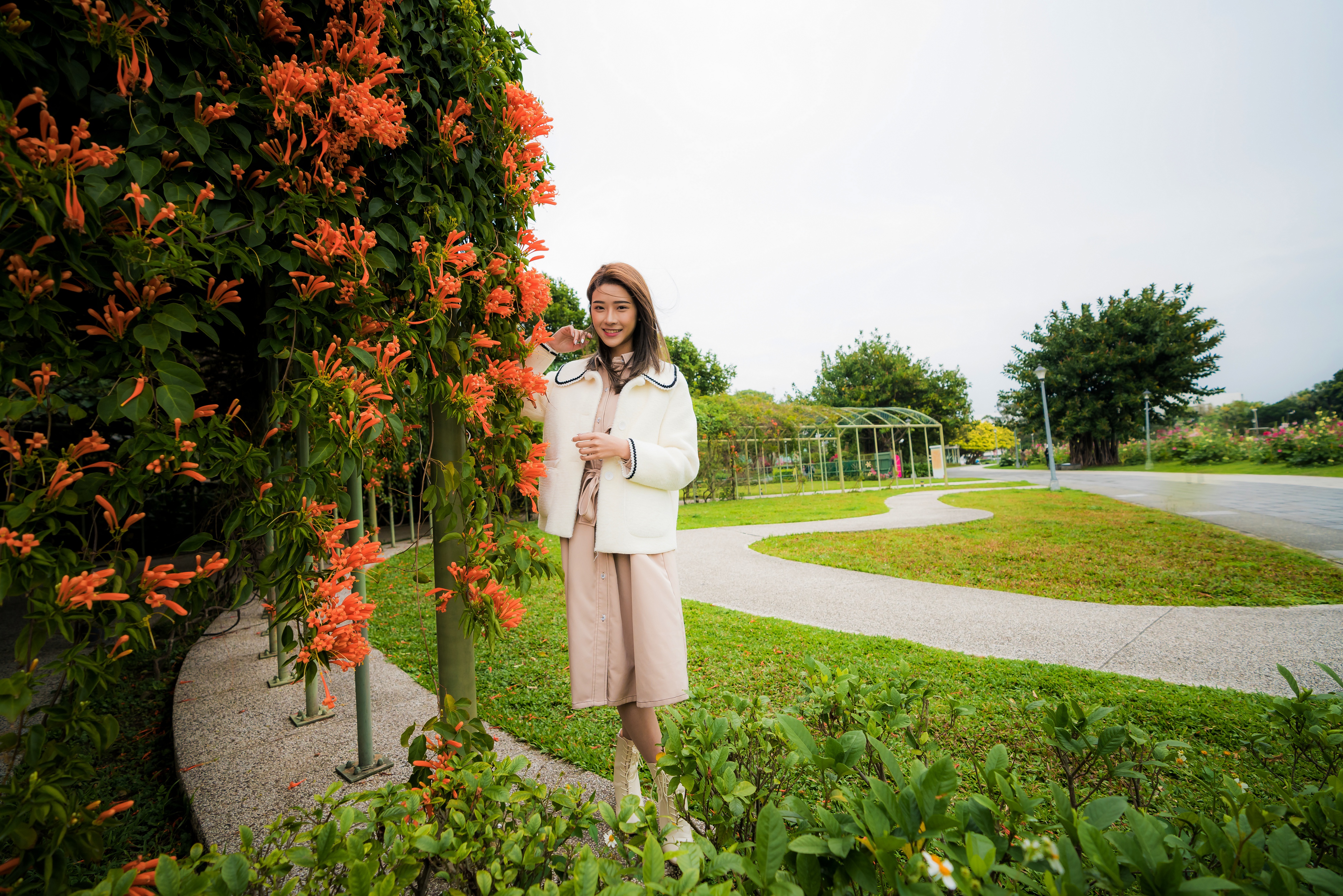 Asian Woman Posing Near Orange Flowers HD Wallpaper