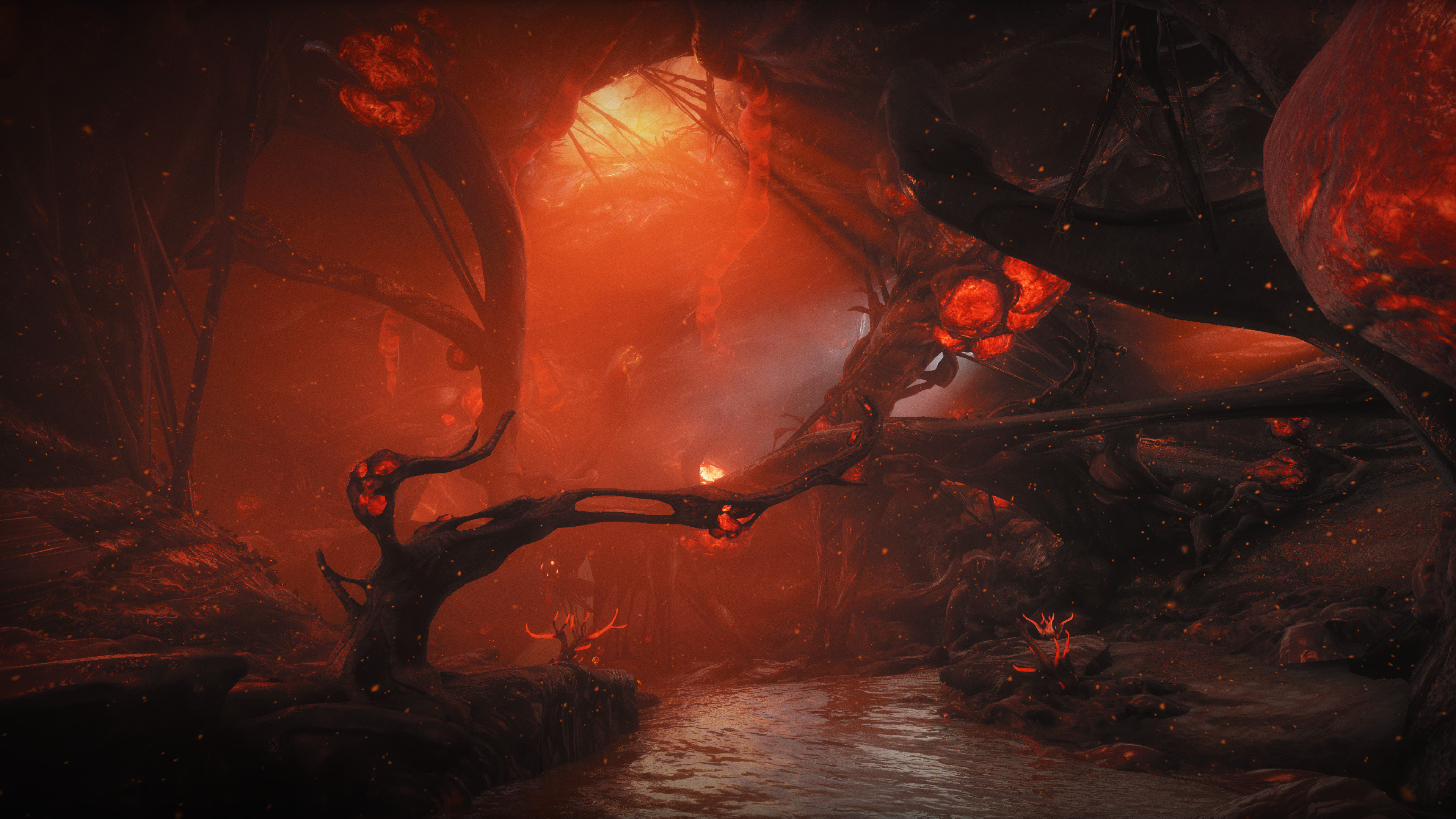 Warframe HD Wallpaper