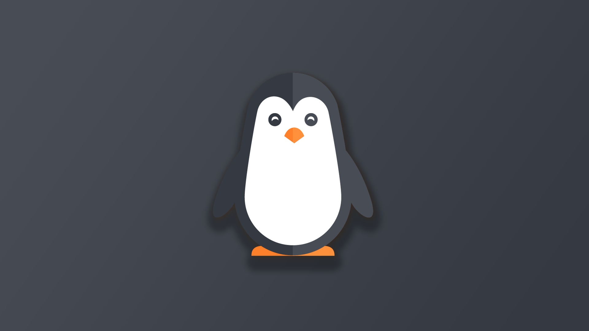 Artistic Penguin Illustration HD Wallpaper