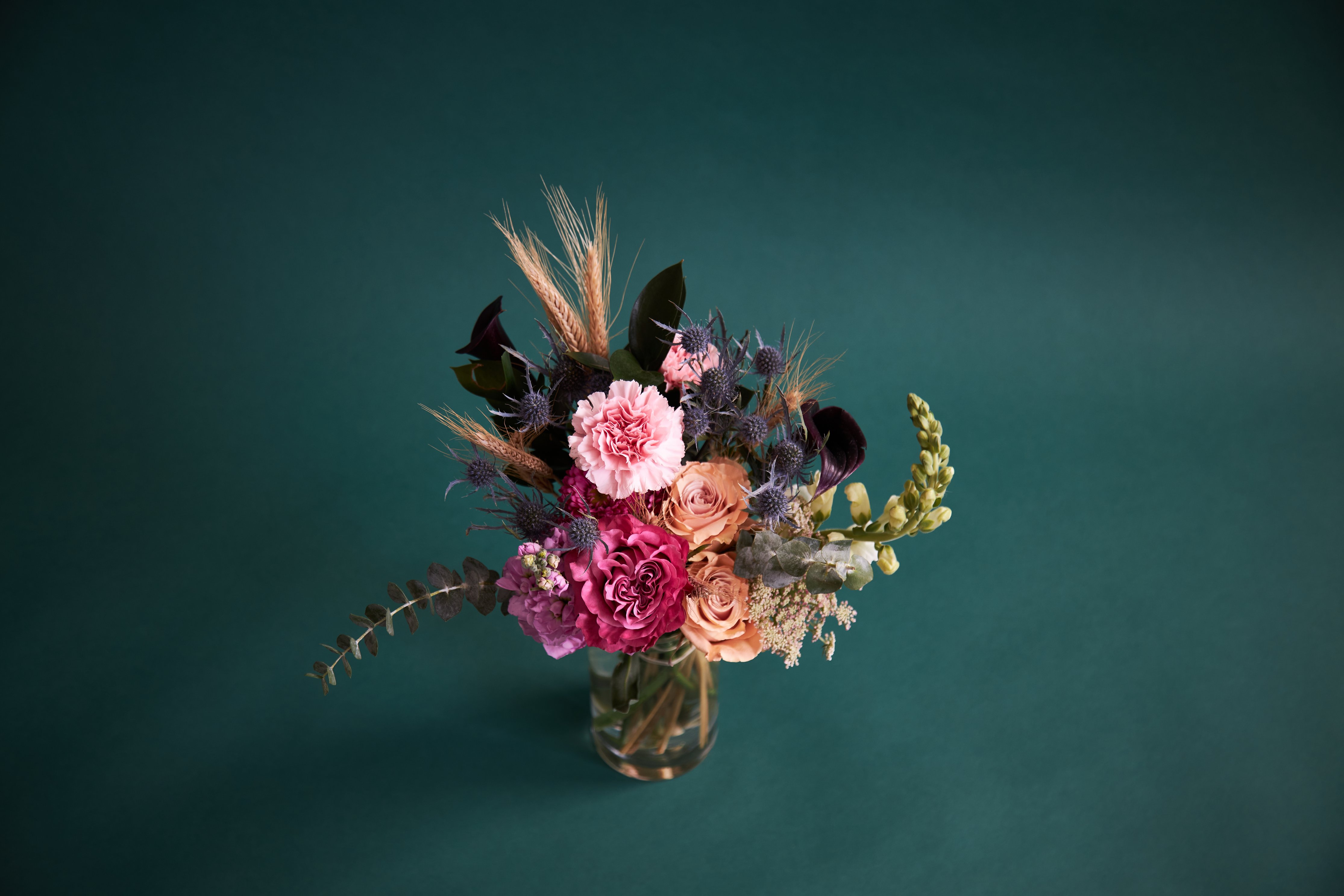 Vivid Floral Arrangement on Dark Teal HD Wallpaper