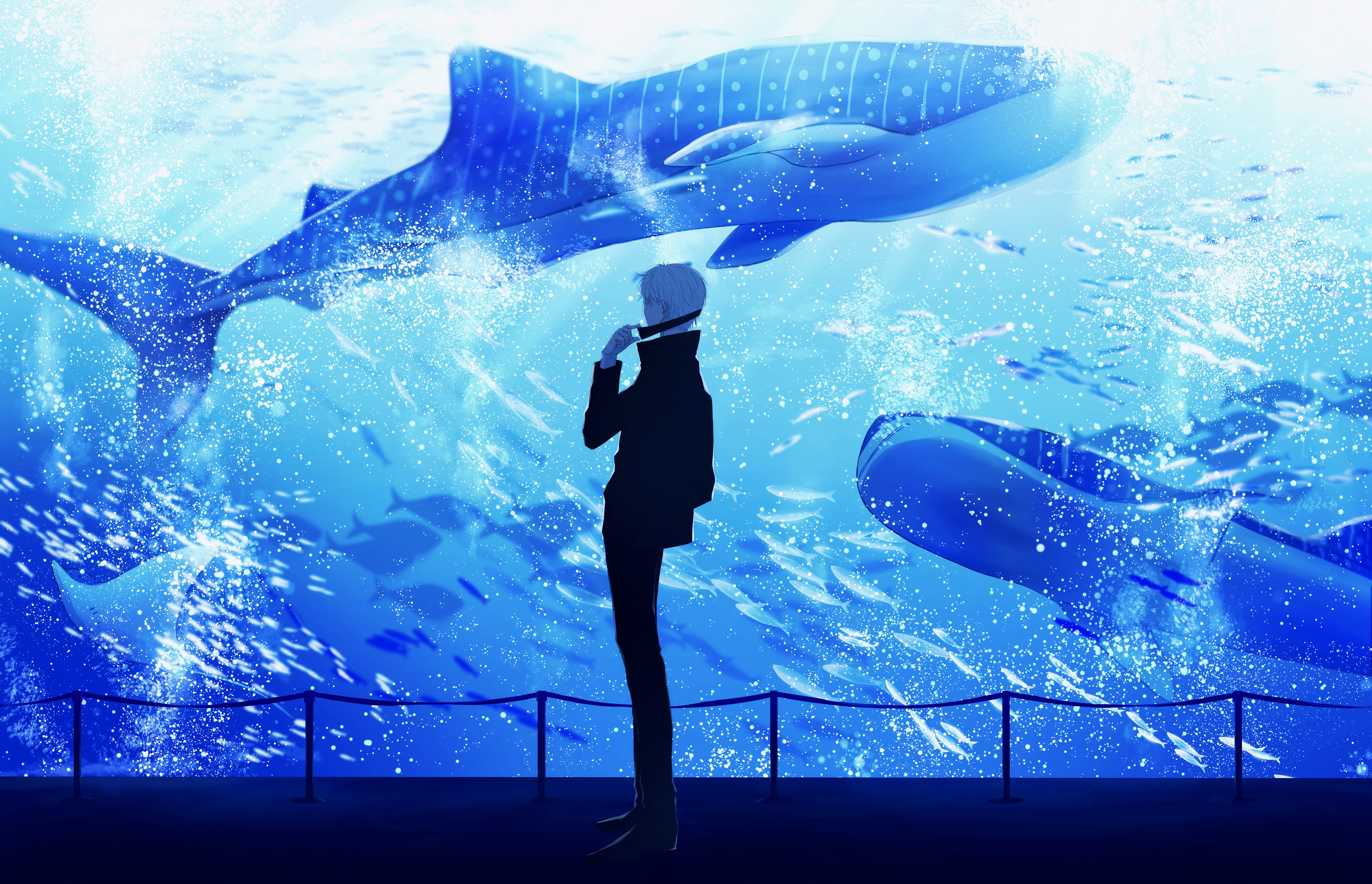 Satoru Gojo at the Aquarium with Whale Sharks HD Wallpaper