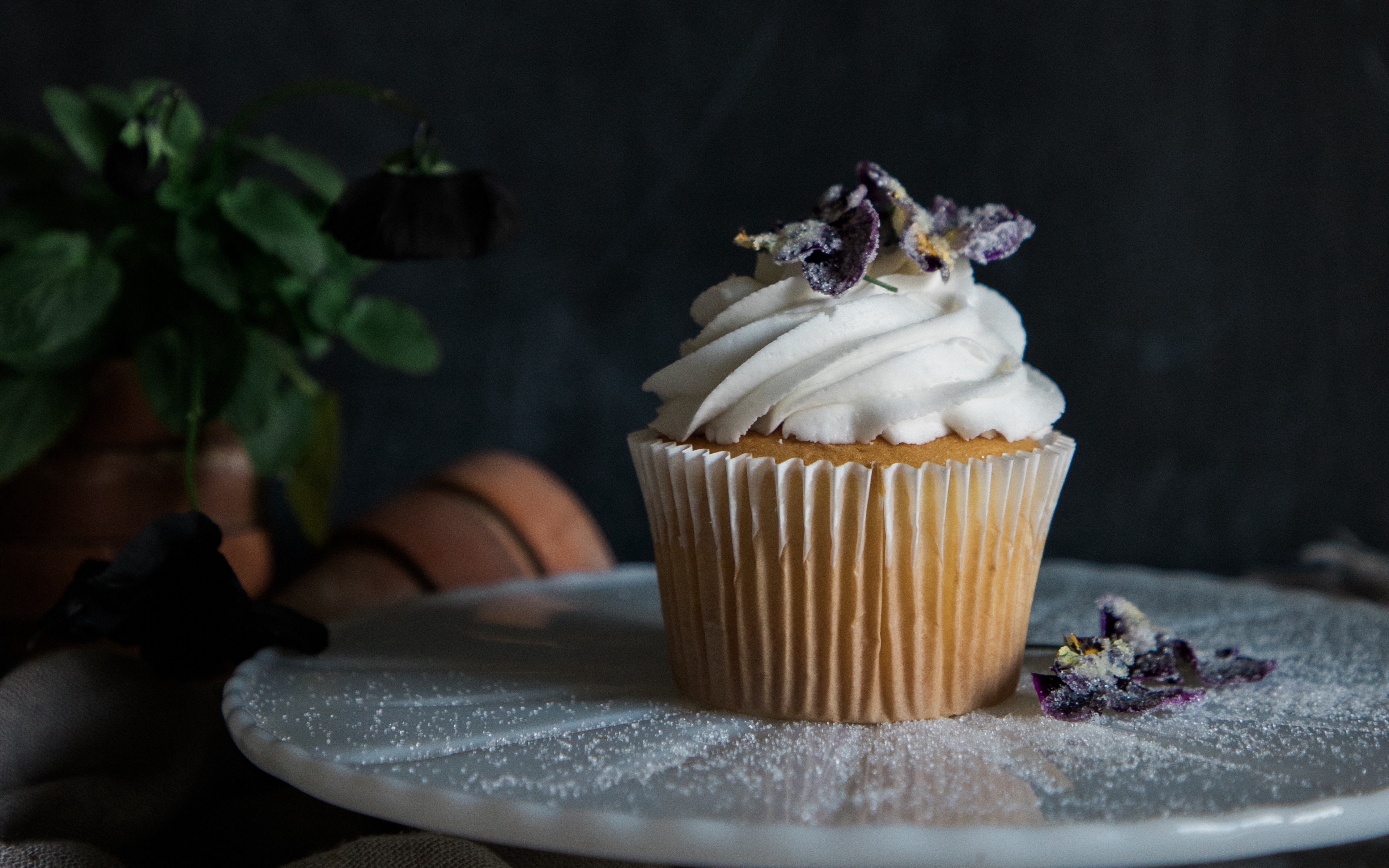 Cupcake with white frosting and purple flowers HD Wallpaper